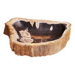 Petrified Wood C Ashtray