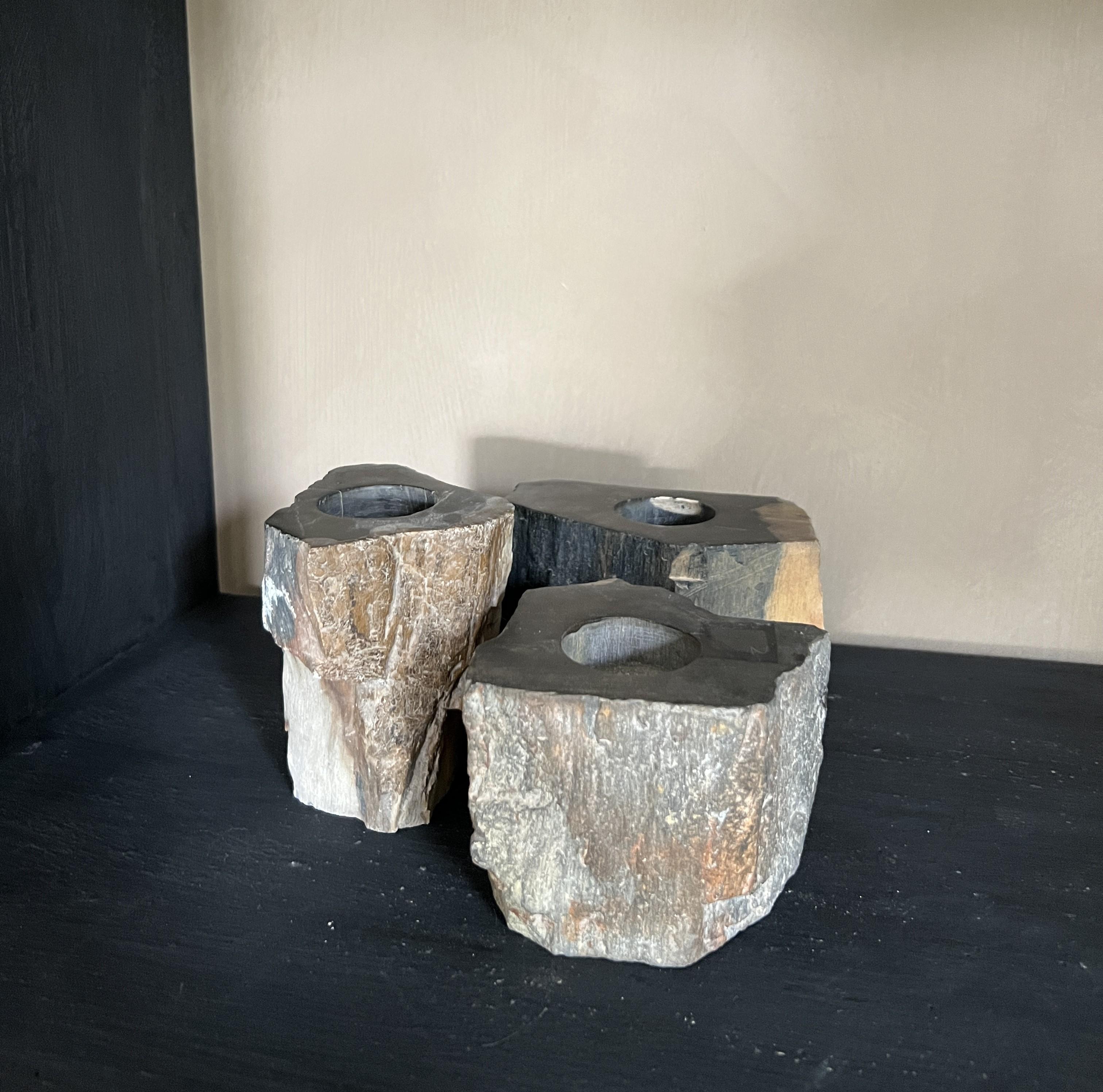 Petrified wood candleholders stone For Sale 6