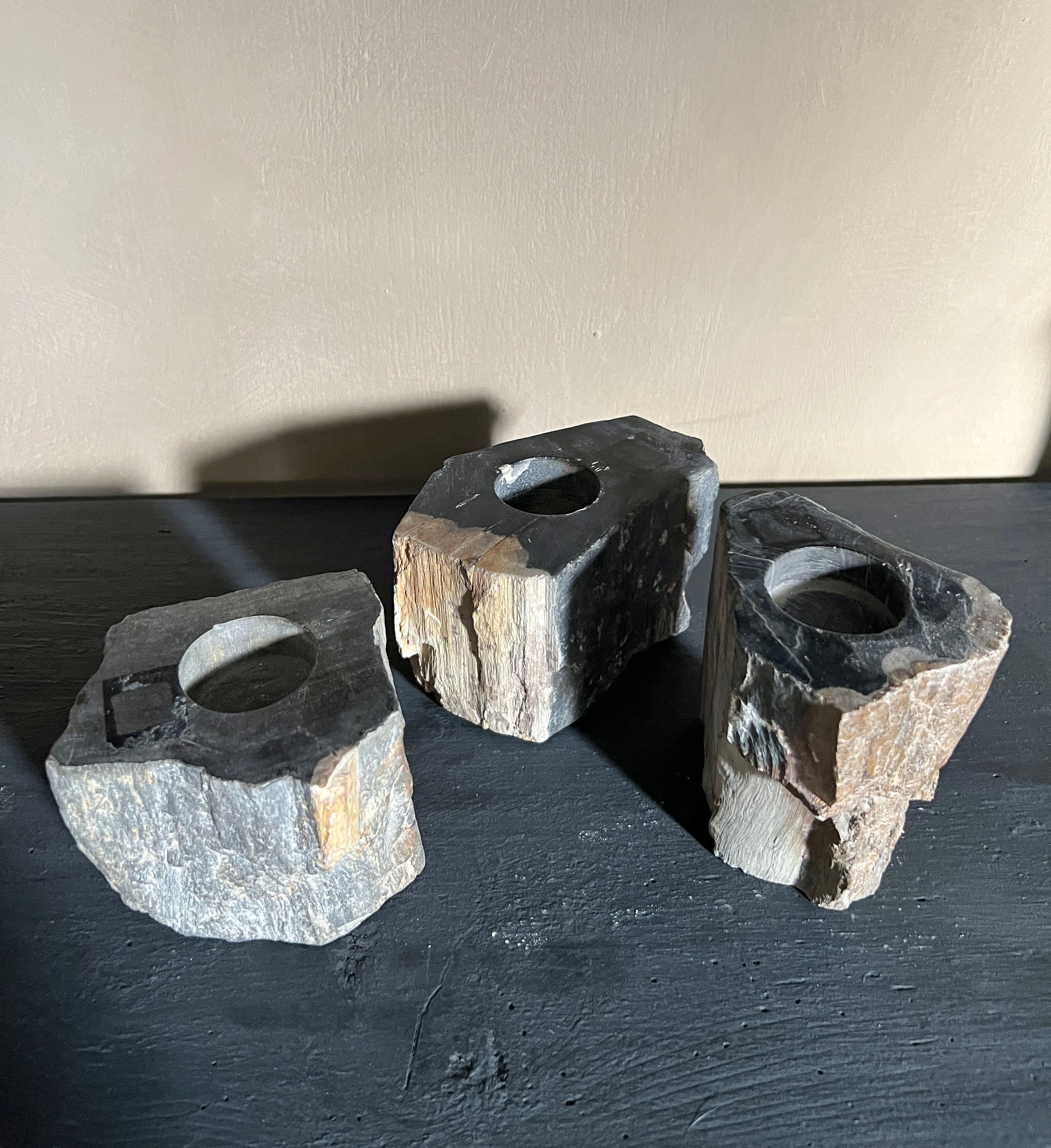 Indonesian Petrified wood candleholders stone For Sale