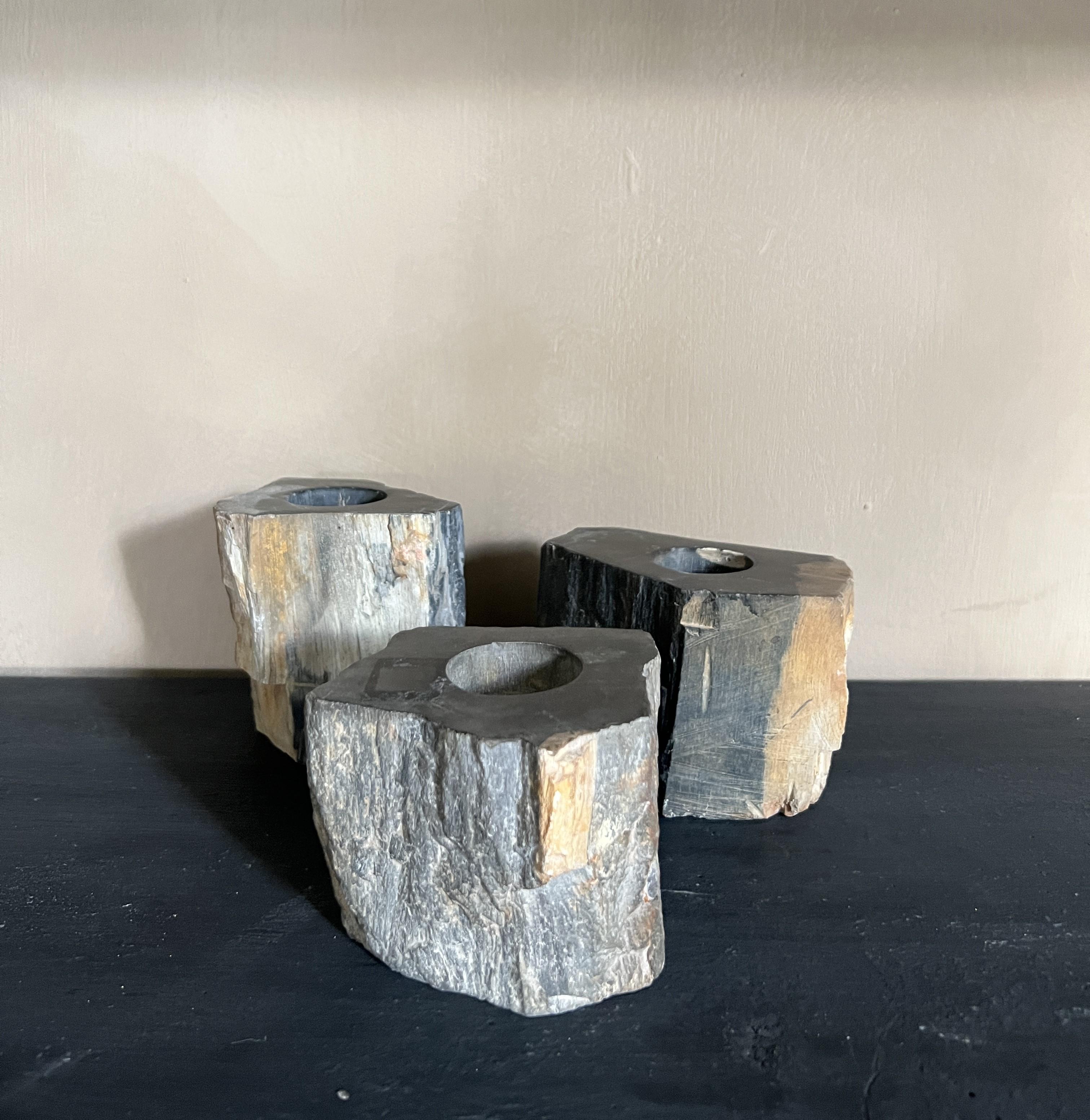 Contemporary Petrified wood candleholders stone For Sale