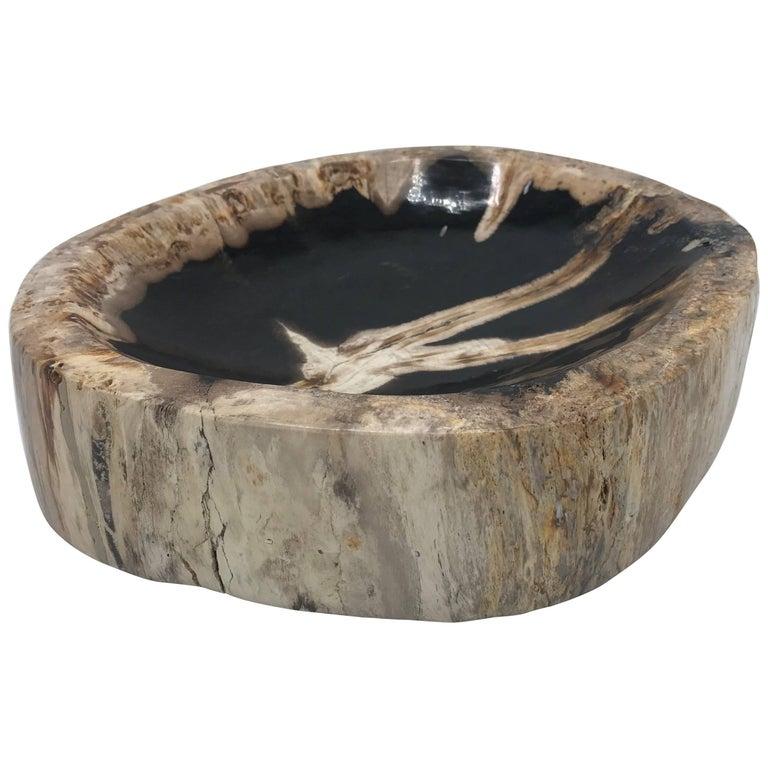 Listed is a stunning, pre-historic black and beige petrified wood catchall dish. The piece of petrified wood was formed into this catchall in the 1950s. Incredibly heavy.