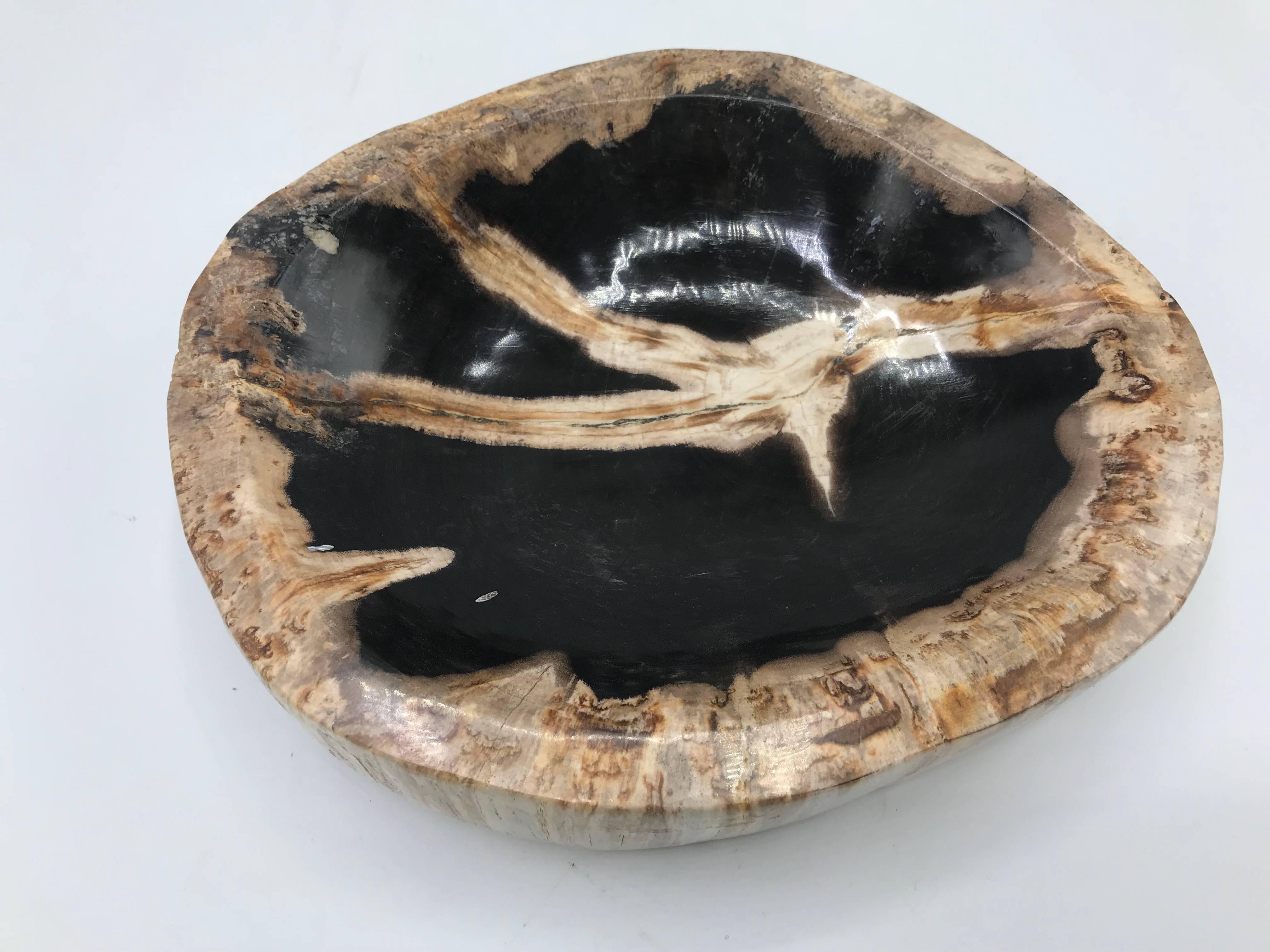 Polished Petrified Wood Catchall Dish