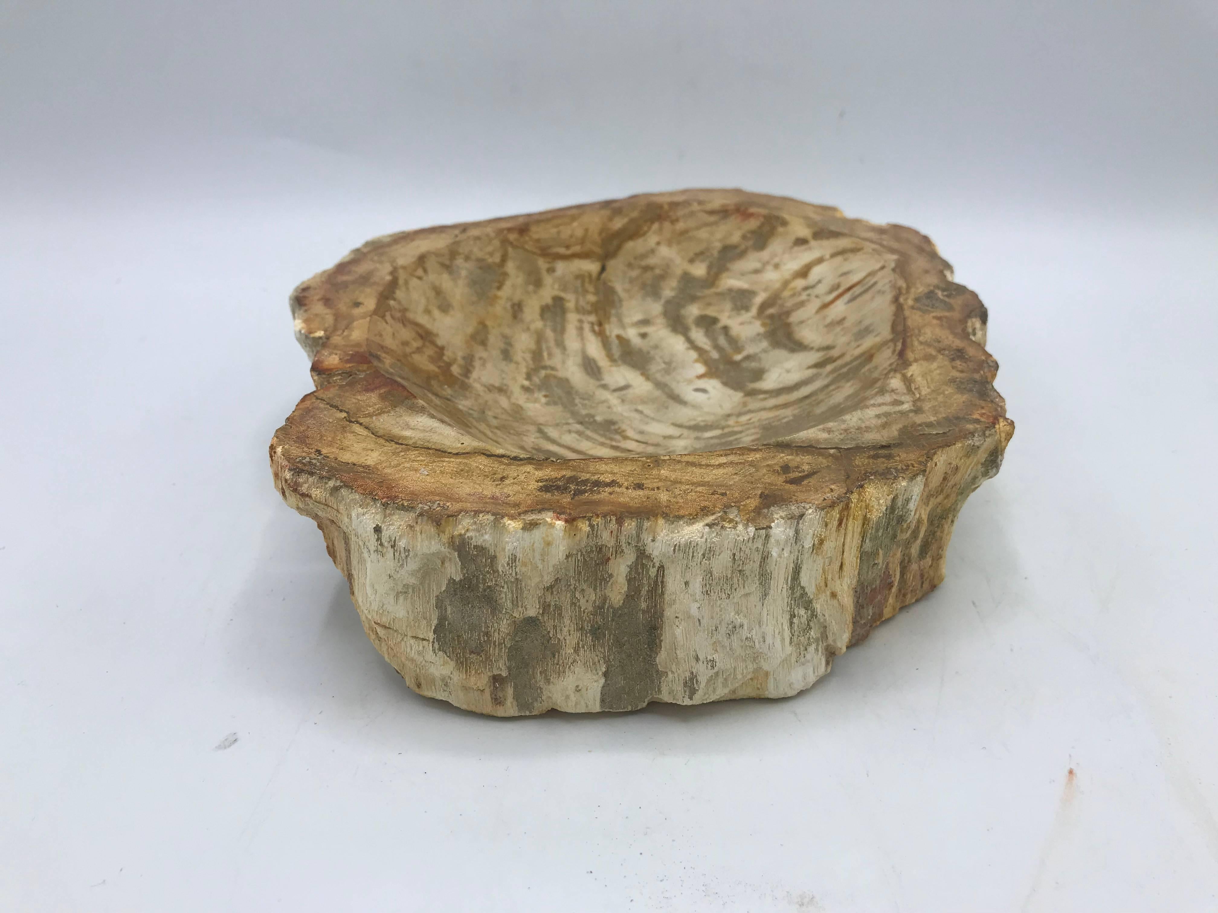 Listed is a stunning, pre-historic petrified wood catchall dish. The dish is polished on the inner-dish, but left with raw edges along the sides. The piece of petrified wood was formed into this catchall in the 1950s. Incredibly heavy.