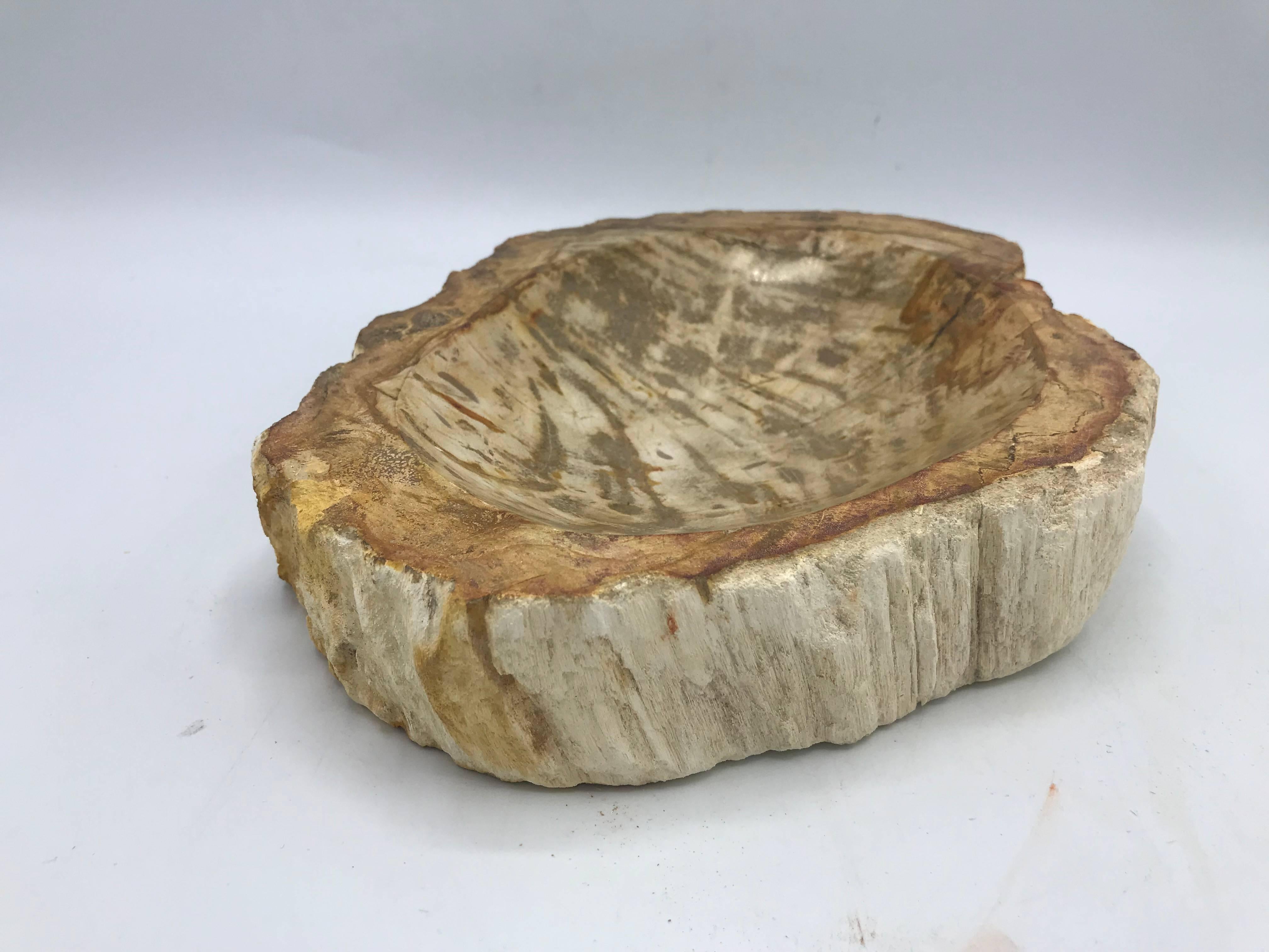 petrified dish