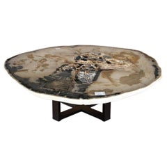 Petrified Wood Center or Coffee Table, Natural Shape and Metal Base, Meocene era