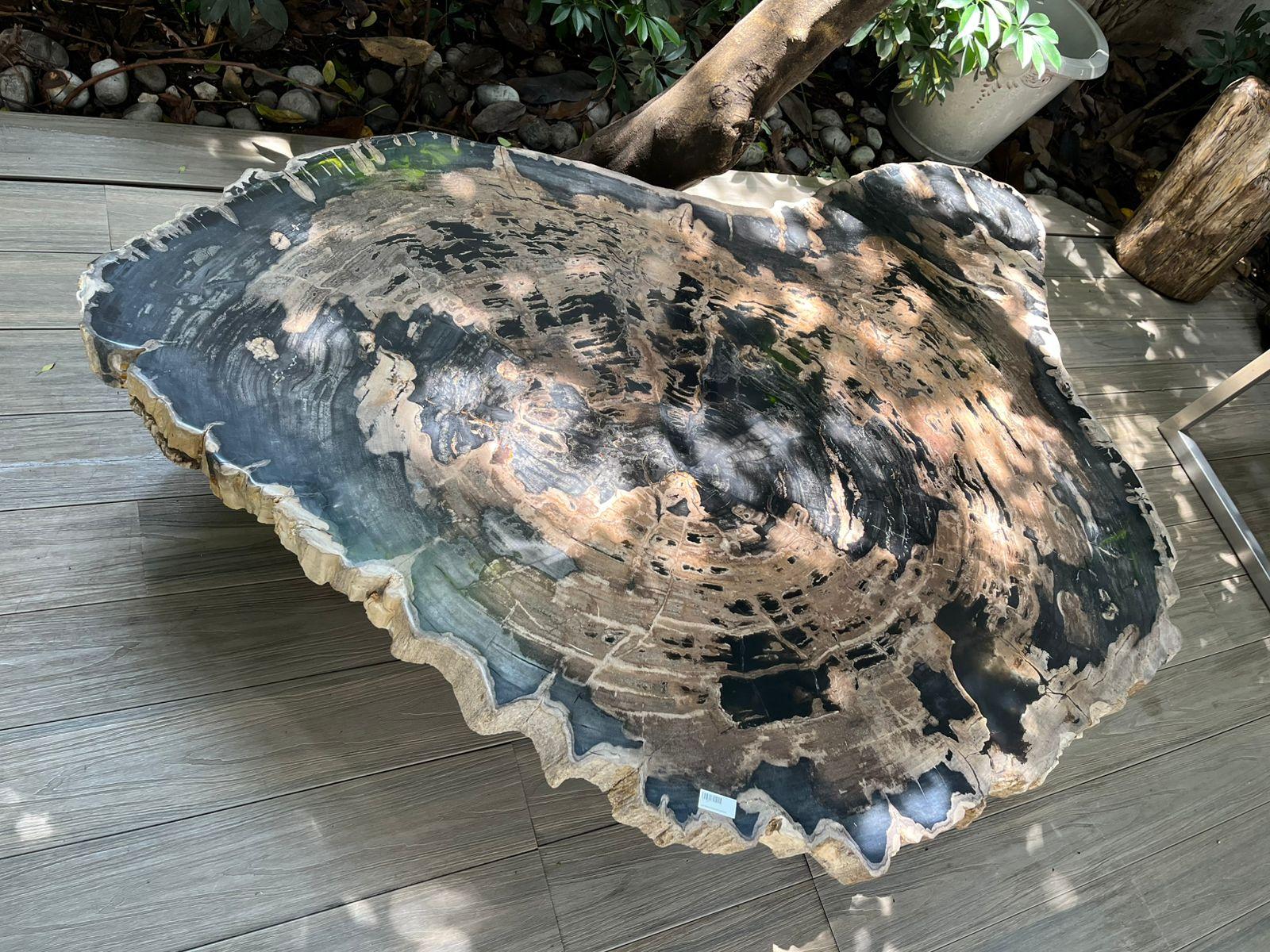 This exquisite center table is a true masterpiece, originating from Indonesia, with a slab of wood that dates back 20 million years to the Miocene era. The slab features its original natural edge, adding a unique and organic touch to its design.
