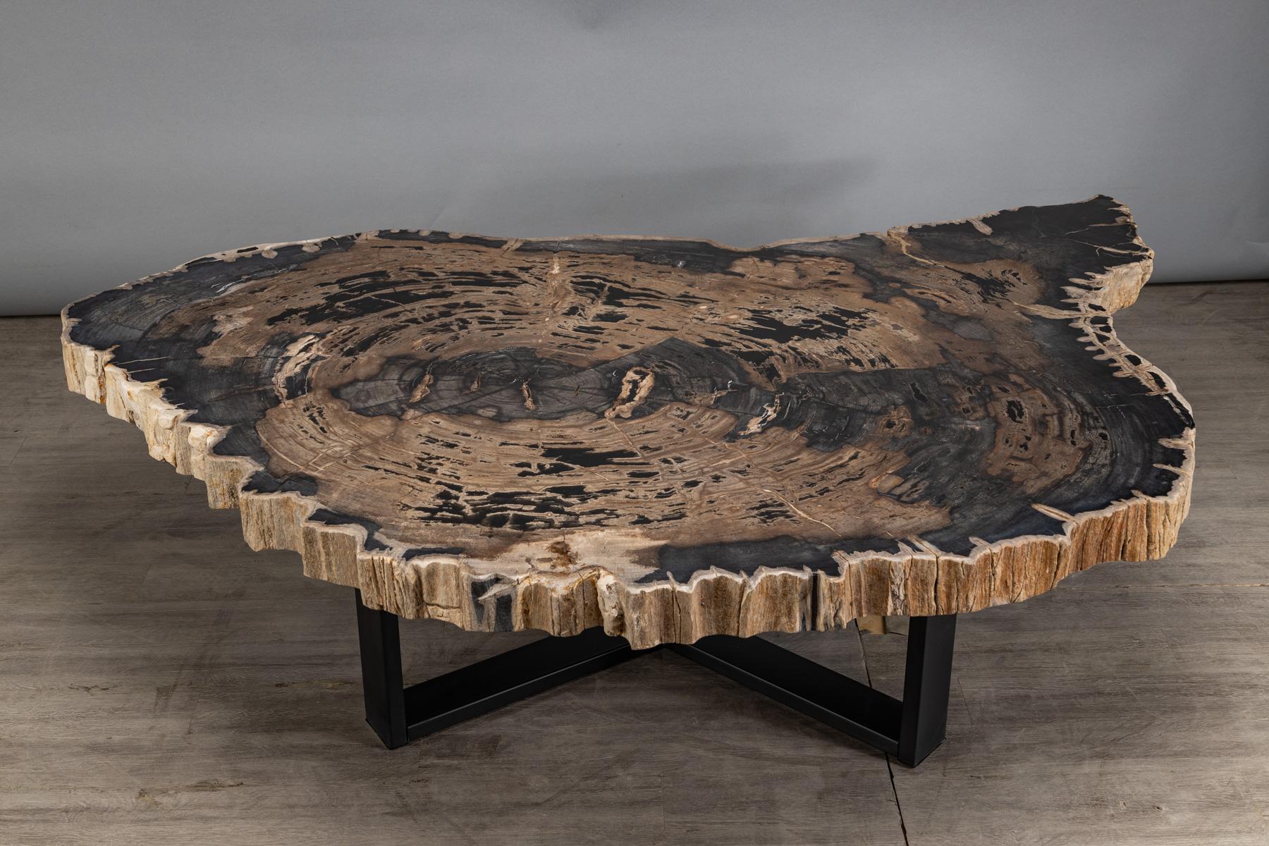 Petrified Wood Center or Coffee Table, Natural Shape and Metal Base, Miocene Era 1