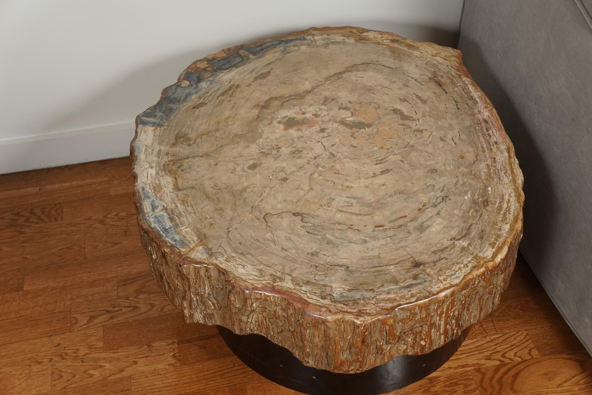 Belgian Petrified Wood Cocktail Table in the Style of Ado Chale For Sale