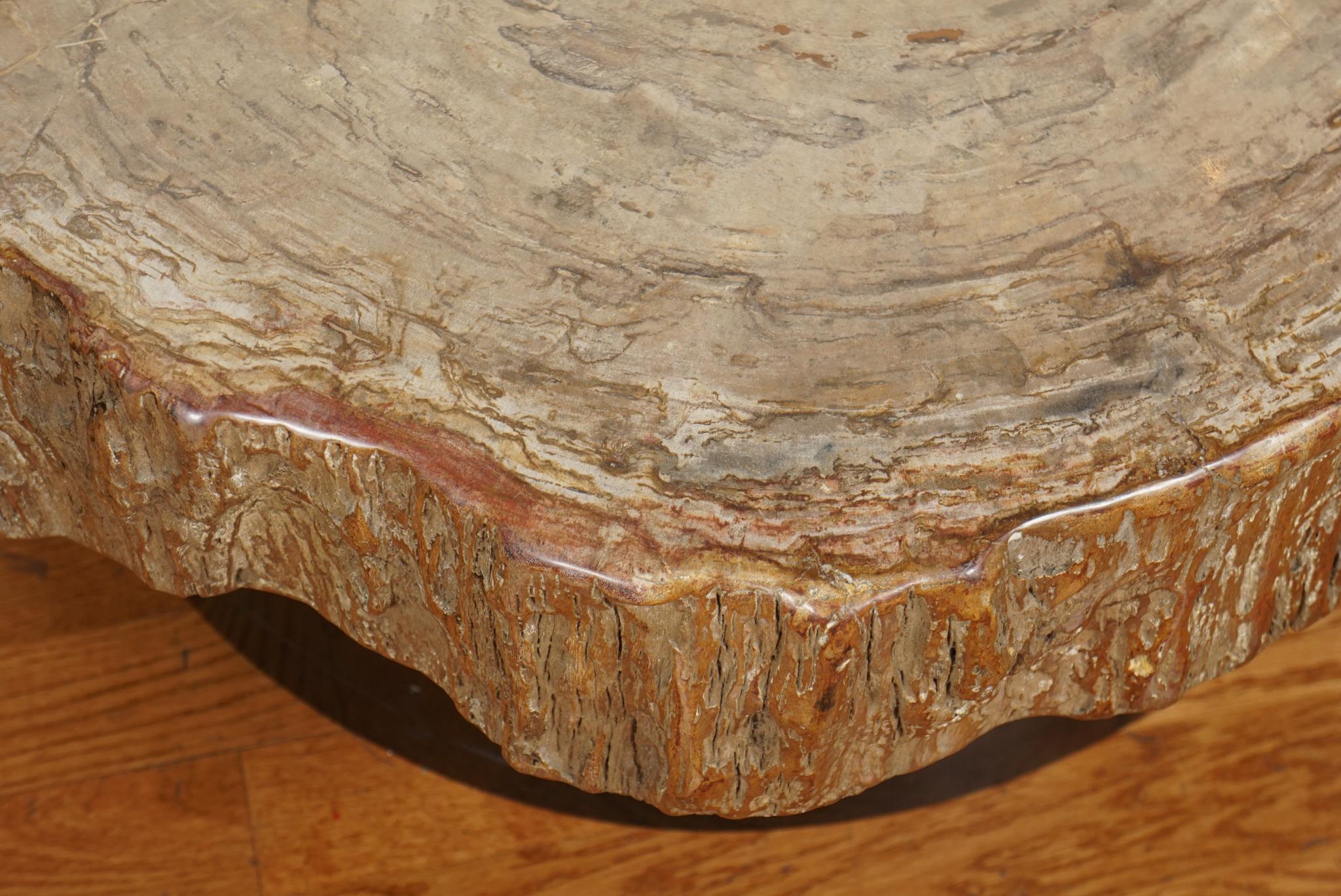 Lacquered Petrified Wood Cocktail Table in the Style of Ado Chale For Sale