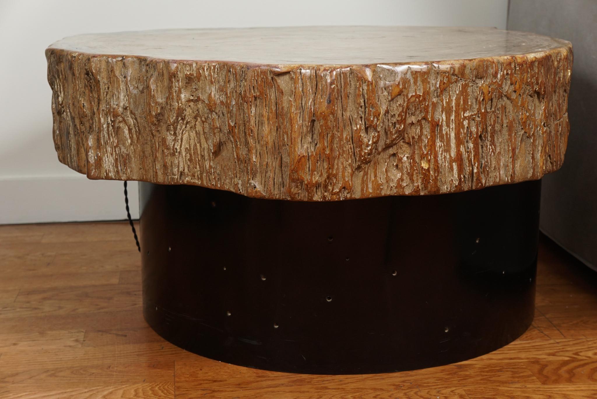 20th Century Petrified Wood Cocktail Table in the Style of Ado Chale For Sale