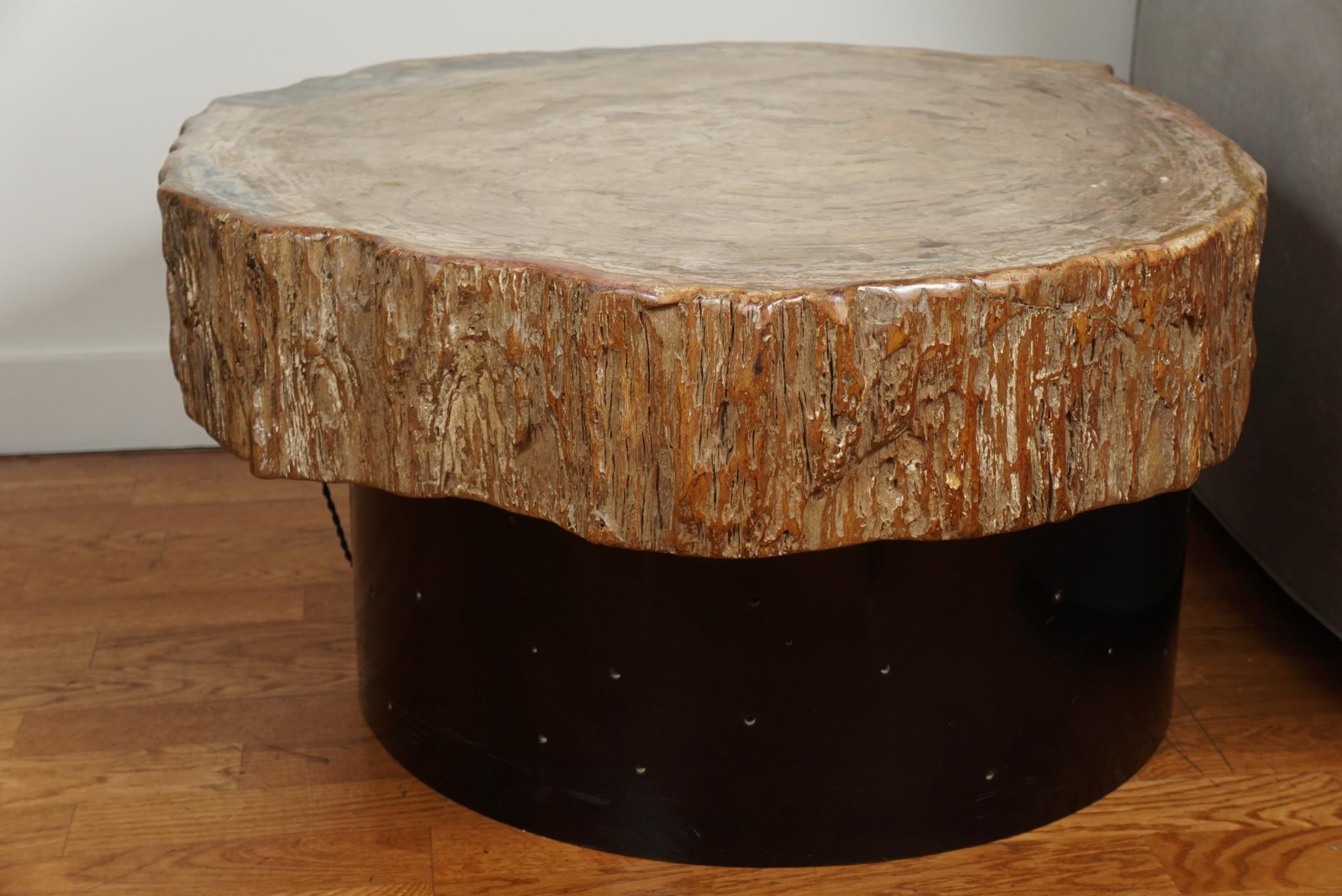 Petrified Wood Cocktail Table in the Style of Ado Chale For Sale 1
