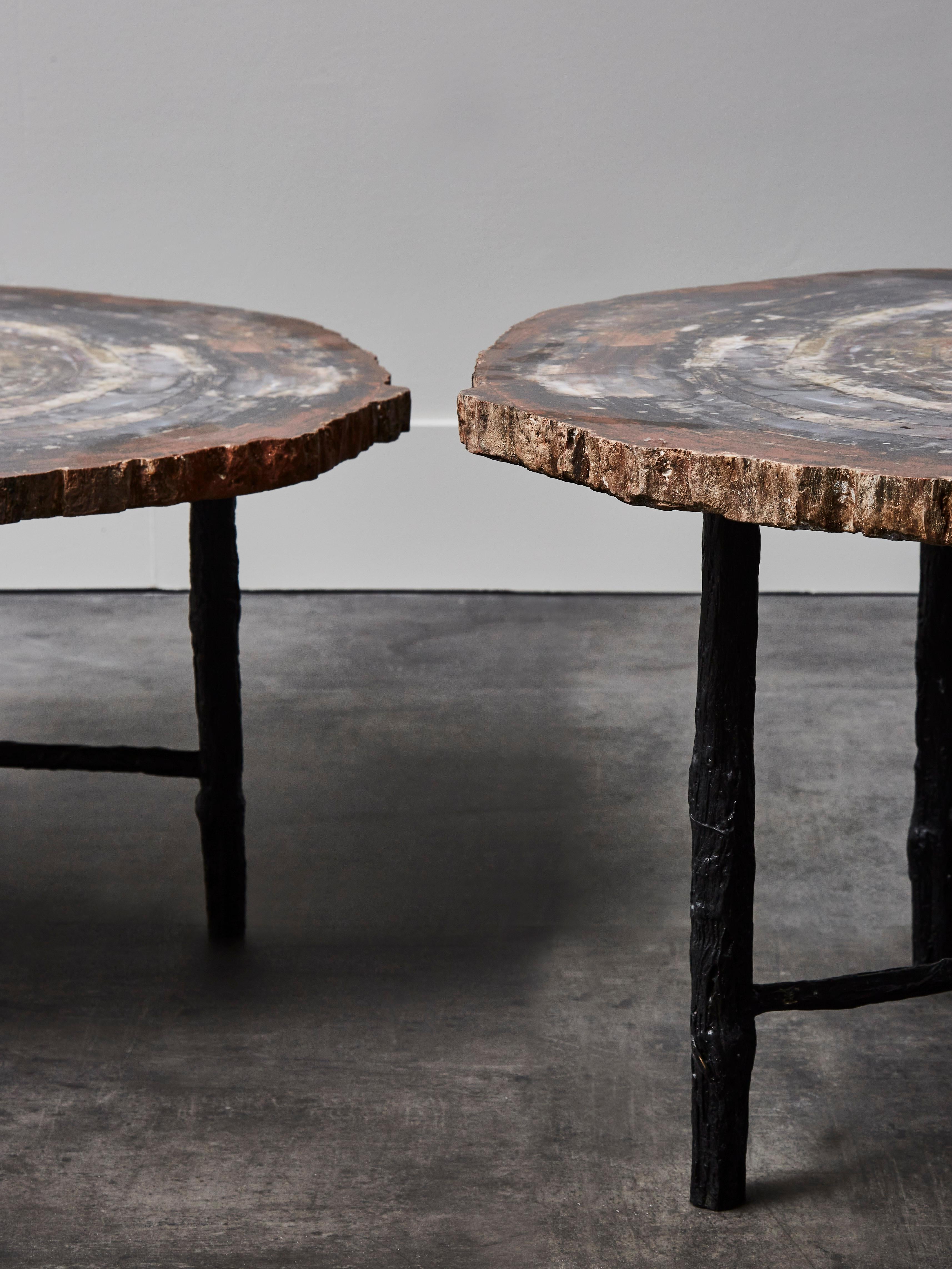 Modern Petrified Wood Coffee Table at Cost Price