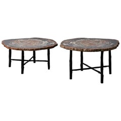 Petrified Wood Coffee Table at Cost Price