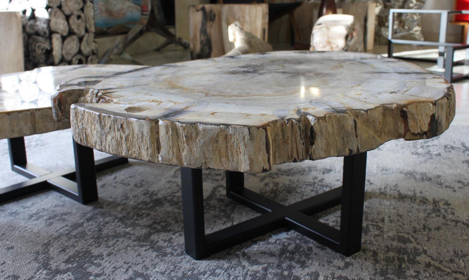 Petrified Wood Coffee Table 4