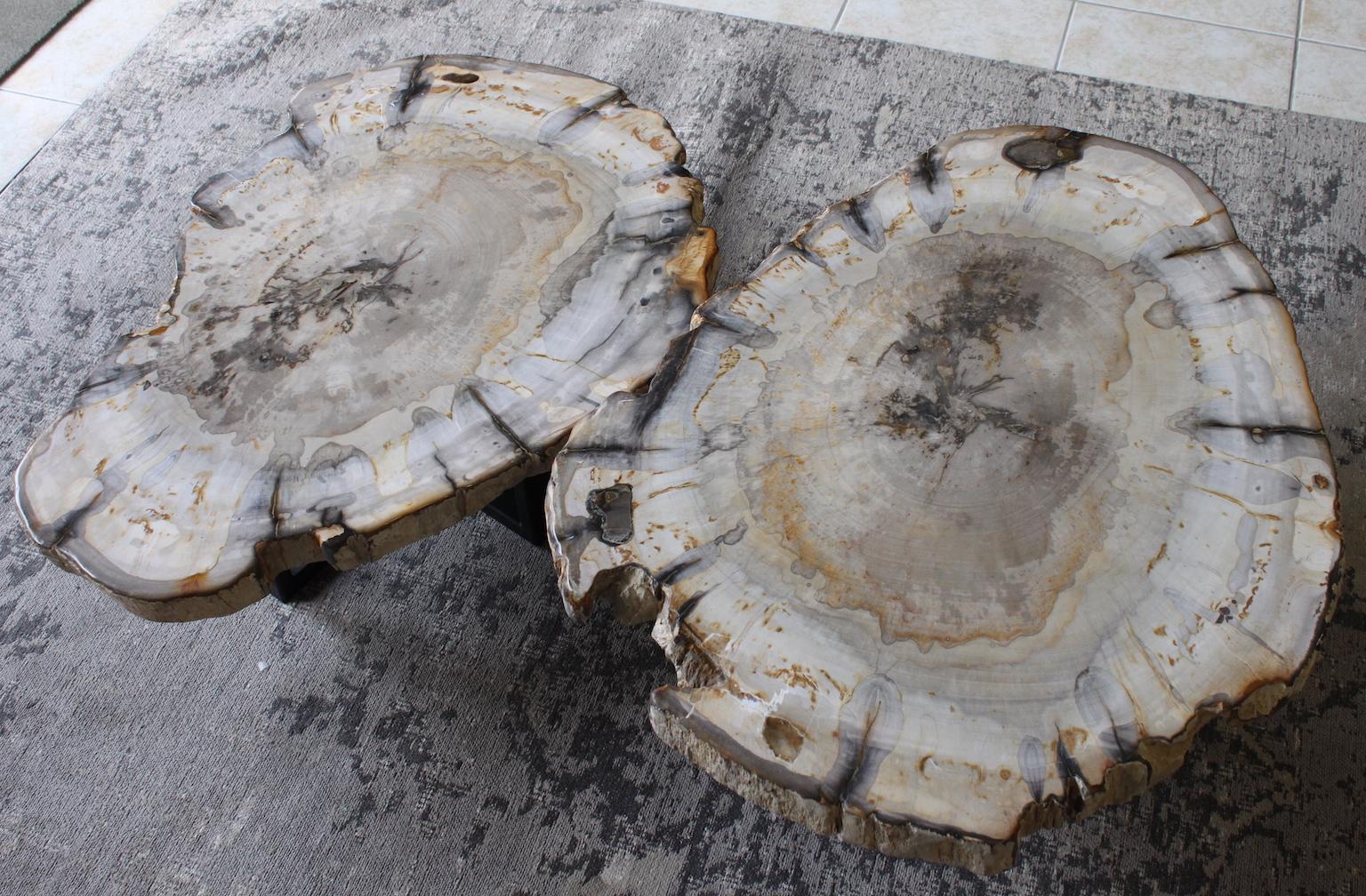 Petrified wood coffee table or side table. Petrified wood of 25 Million years.
Dimensions:
Total height 30.5cm / W 78cm / D 55cm
Total height 24.5cm / W 77cm / D 55cm.


 