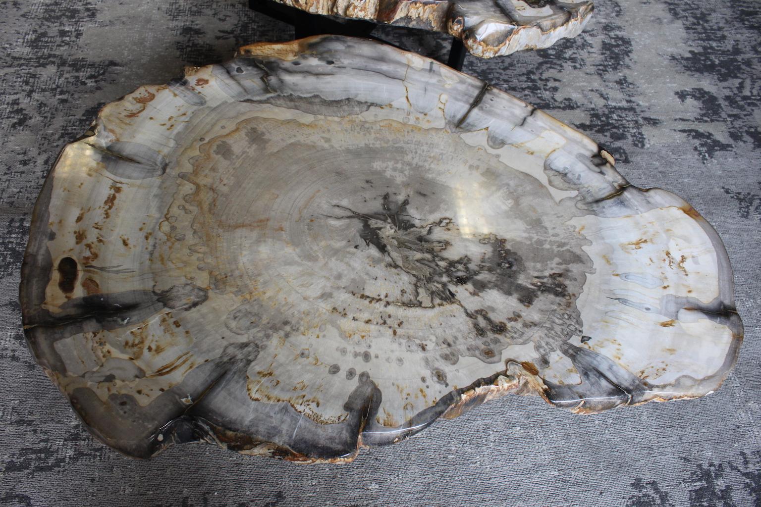 Petrified Wood Coffee Table In Good Condition In Marseille, FR
