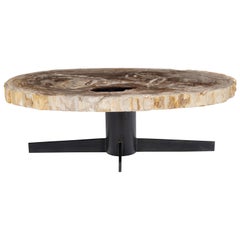 Vintage Petrified Wood Coffee Table