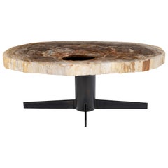 Vintage Petrified Wood Coffee Table