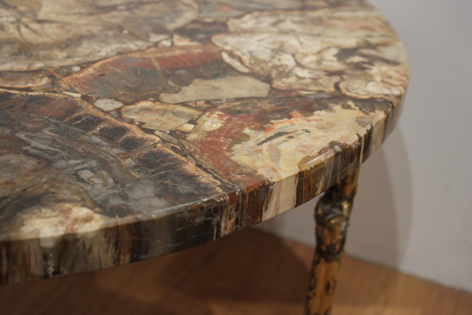 Polished Petrified Wood Coffee Table Gilt Bronze Base