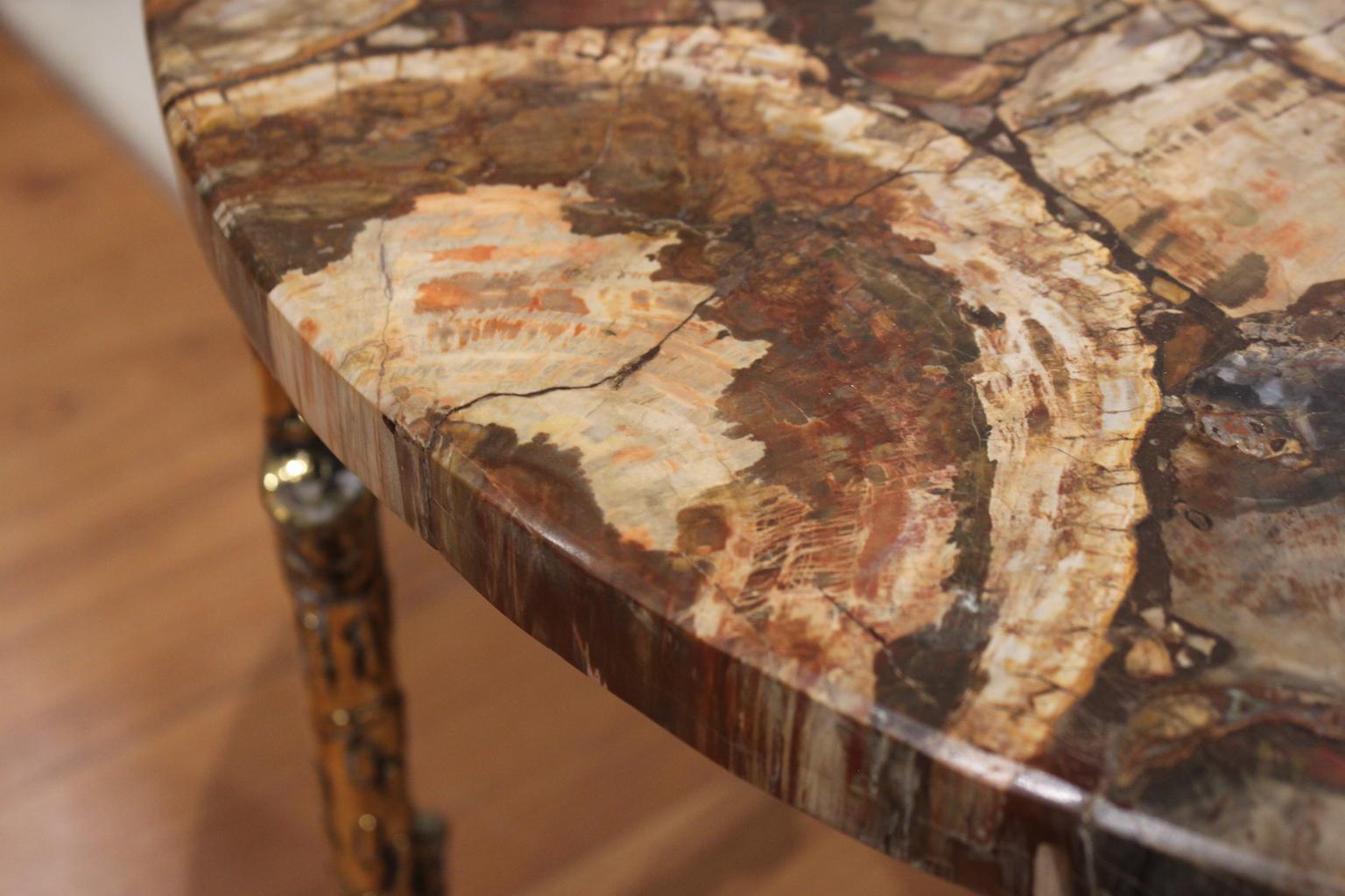 Petrified Wood Coffee Table Gilt Bronze Base In Excellent Condition In Marseille, FR