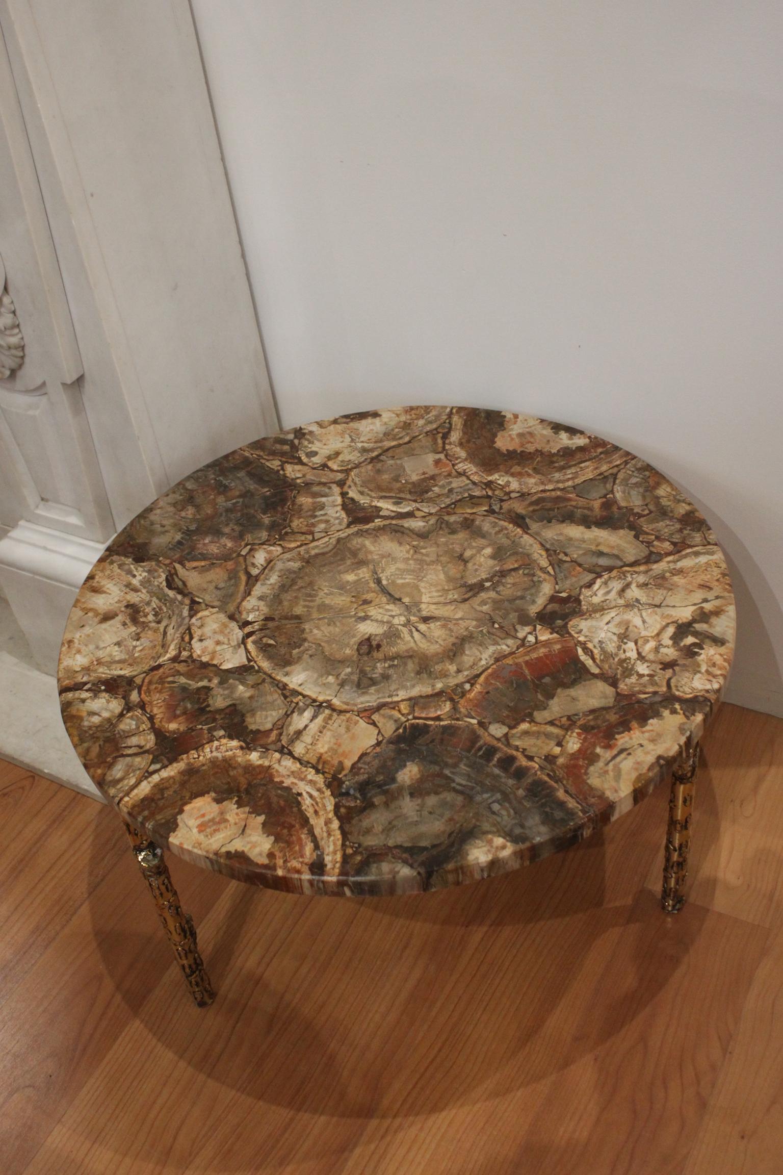 Petrified Wood Coffee Table Gilt Bronze Base 1