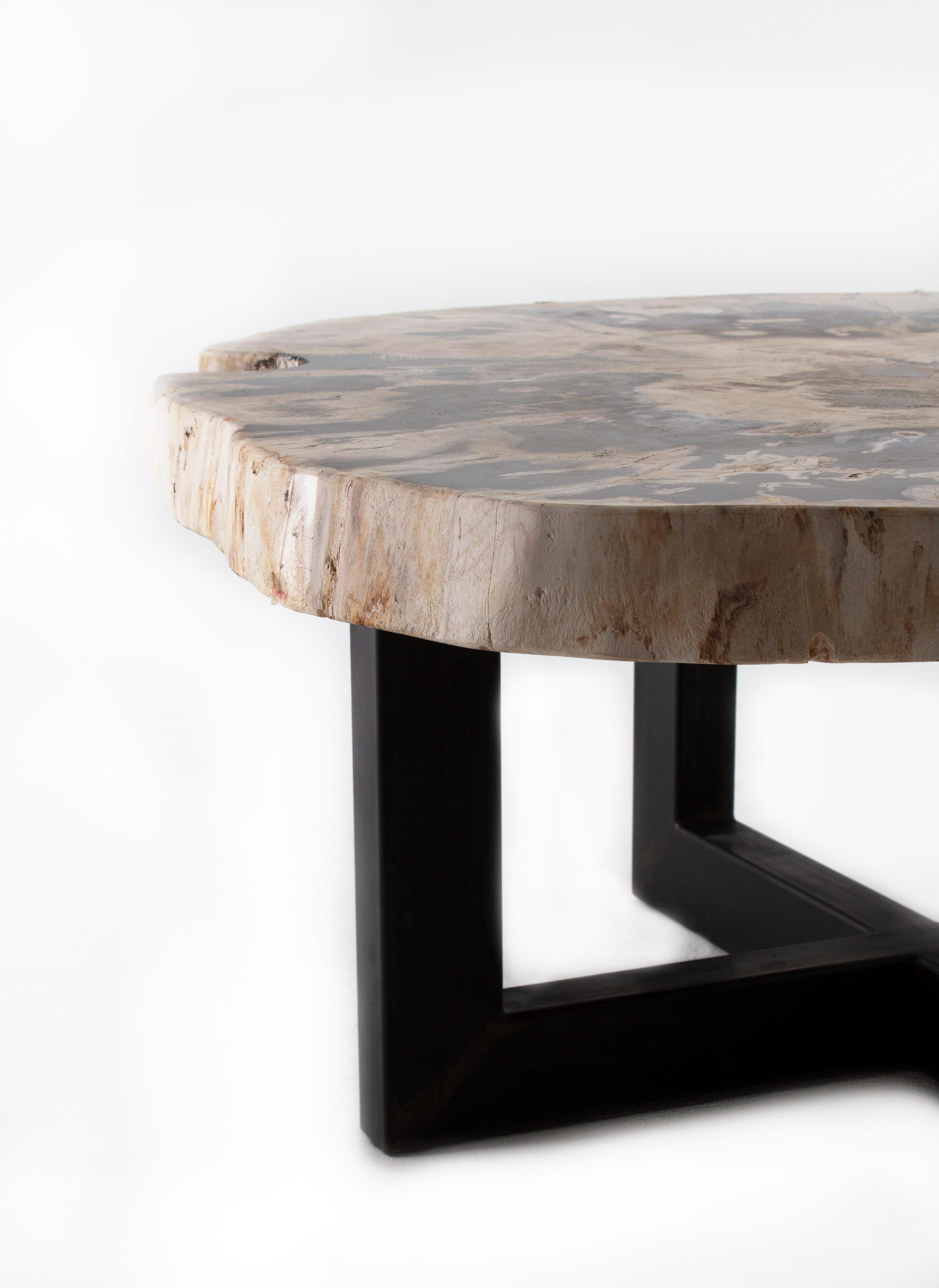 South Asian Petrified Wood Coffee Table on Black Steel Mount