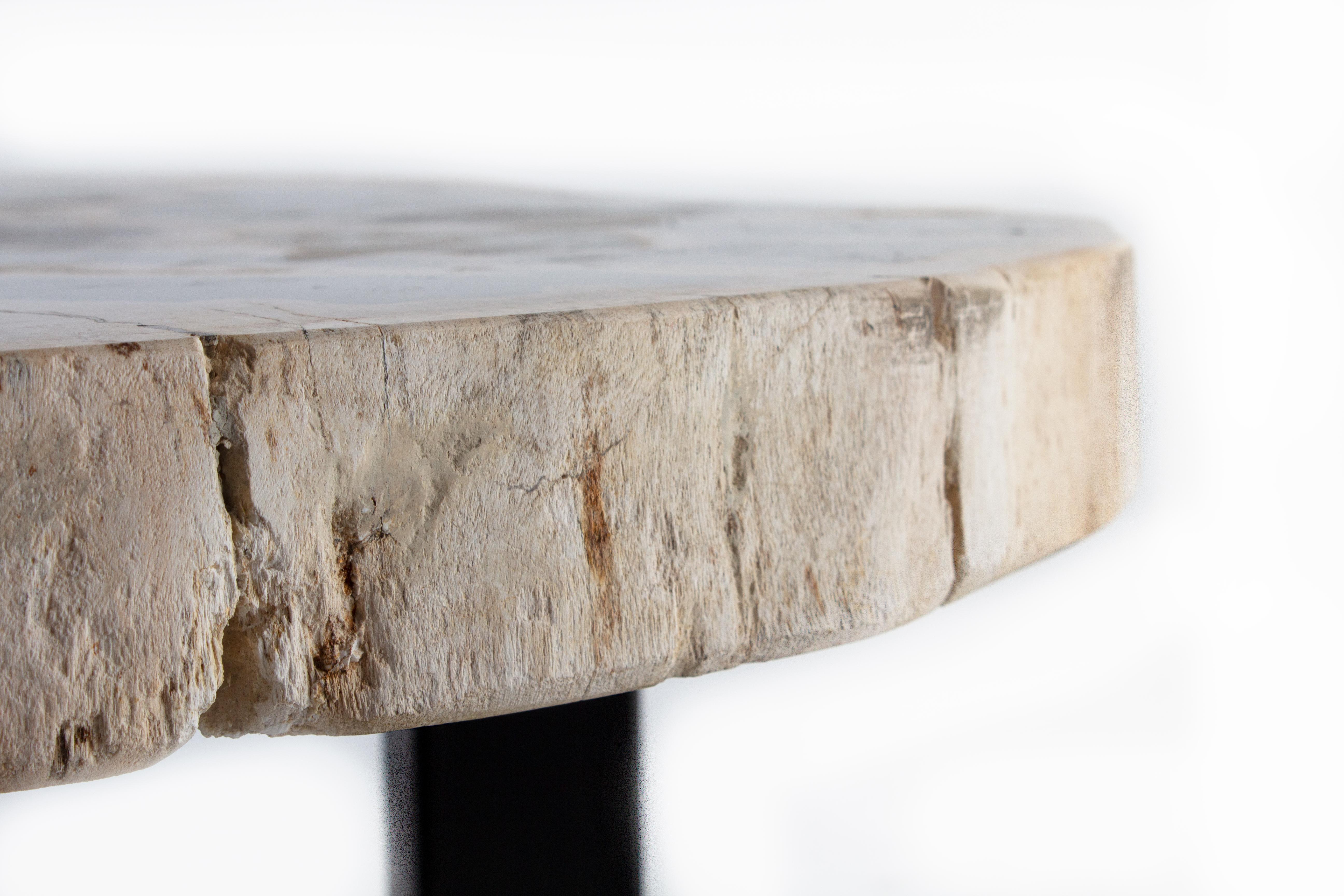 Petrified Wood Coffee Table on Black Steel Mount In New Condition In Dallas, TX