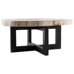 Petrified Wood Coffee Table on Black Steel Mount