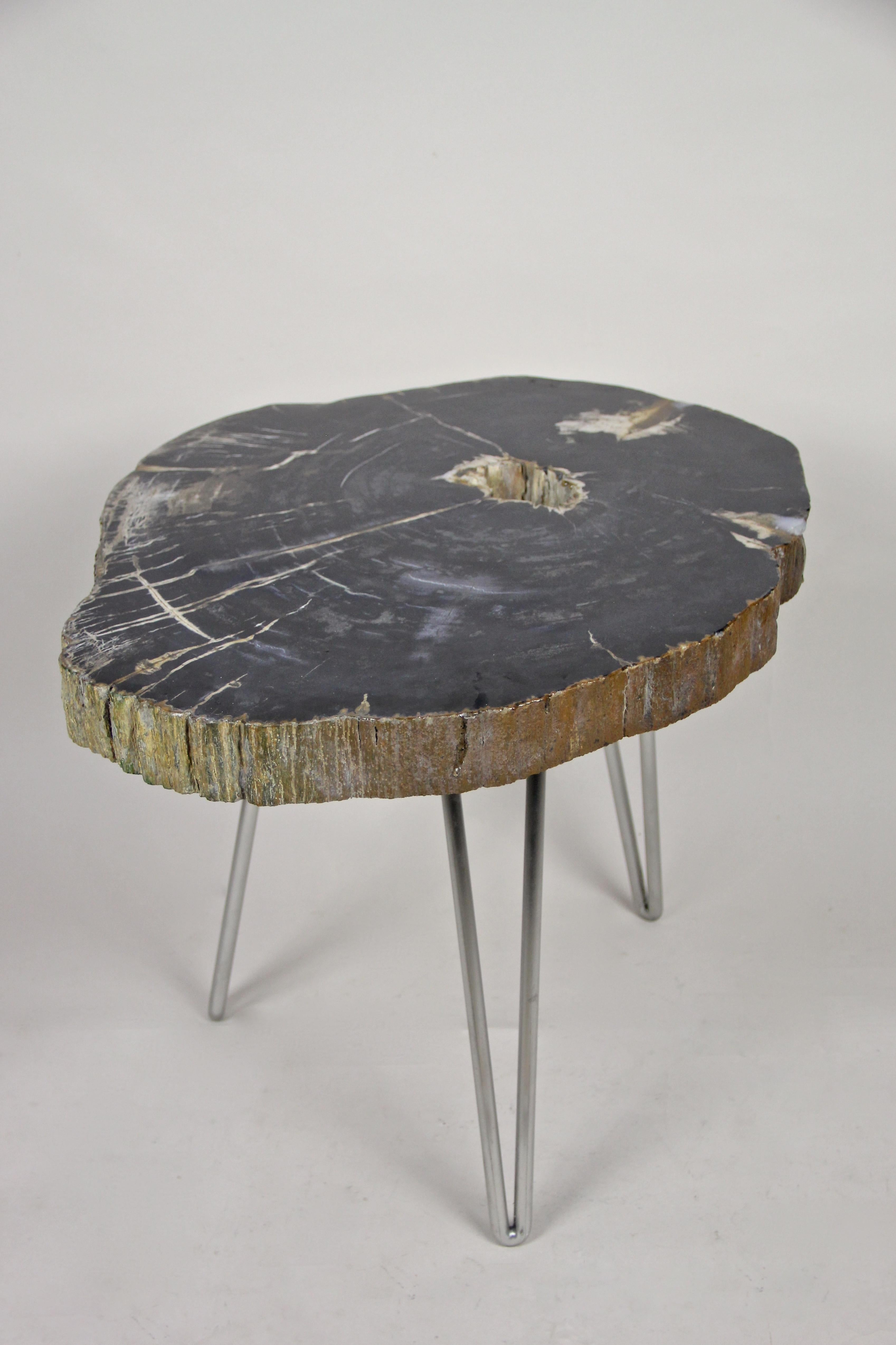 Table basse en bois pétrifié sur pieds en acier inoxydable, moderne et organique en vente 4