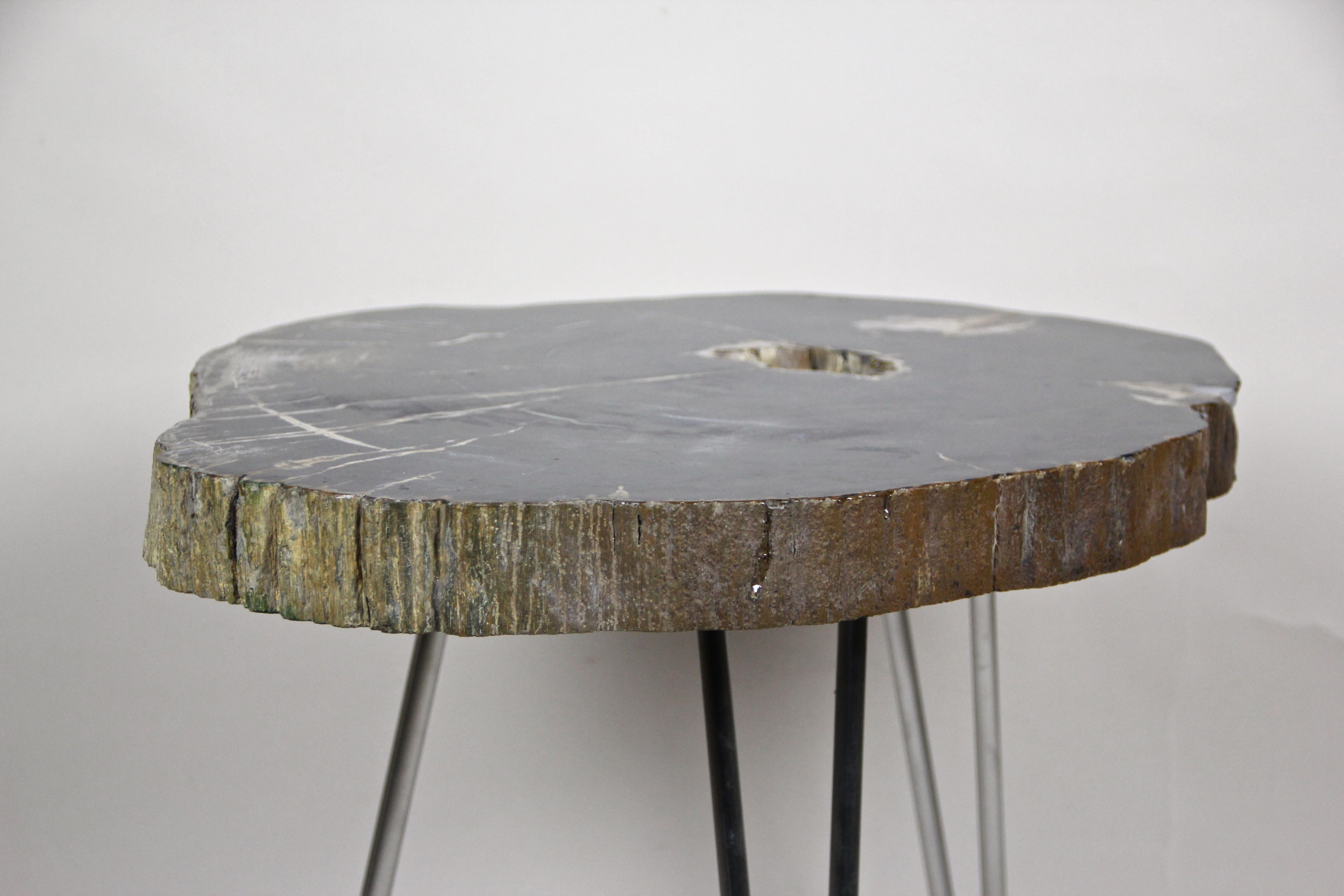 Petrified Wood Coffee Table on Stainless Steel Feet, Organic Modern For Sale 8