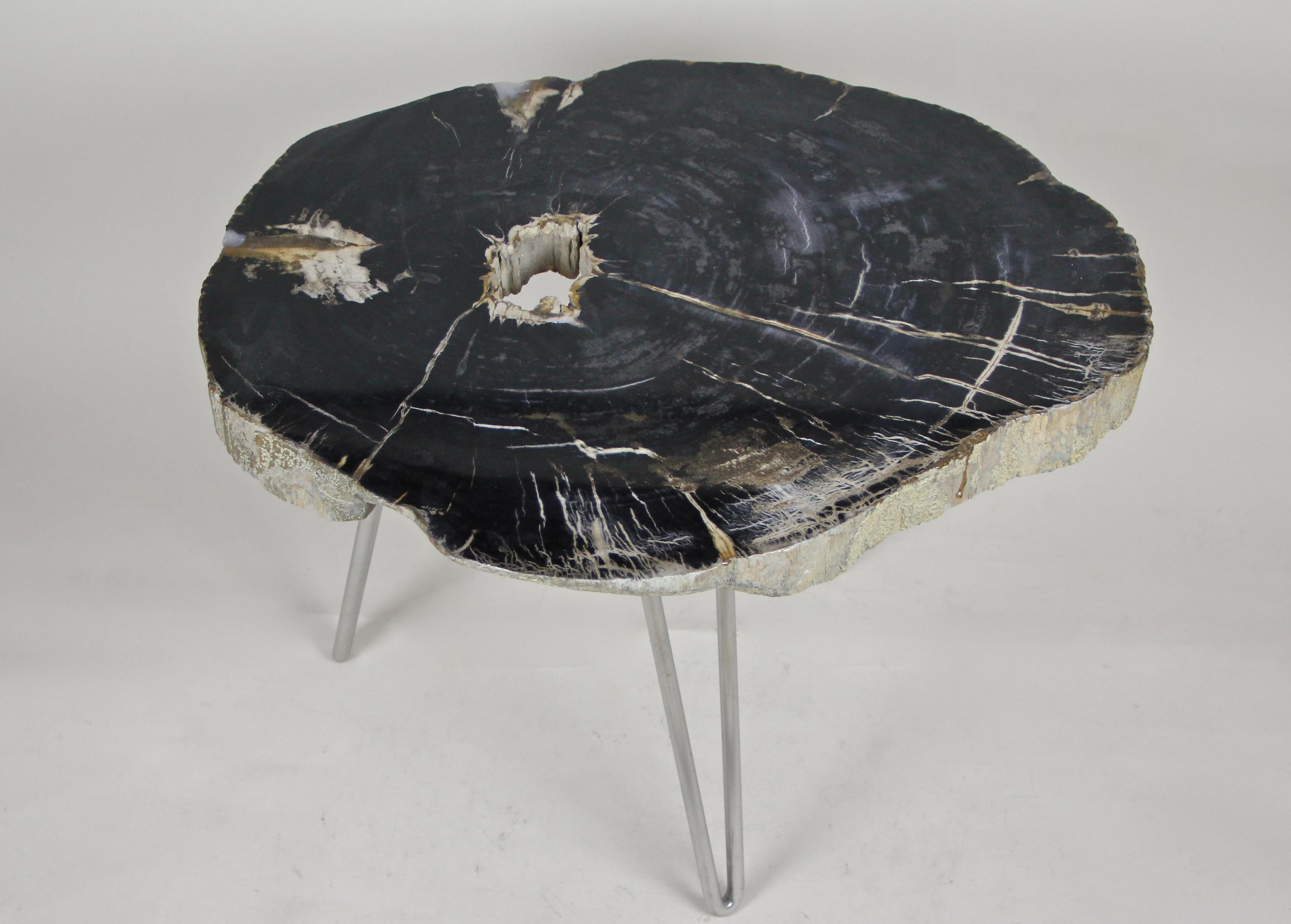 Contemporary petrified wood coffee table on stainless steel feet. A small, organic modern side table/ coffee table which plate consists of precious petrified wood, showing a black surface adorned by white veins running through it. A small natural