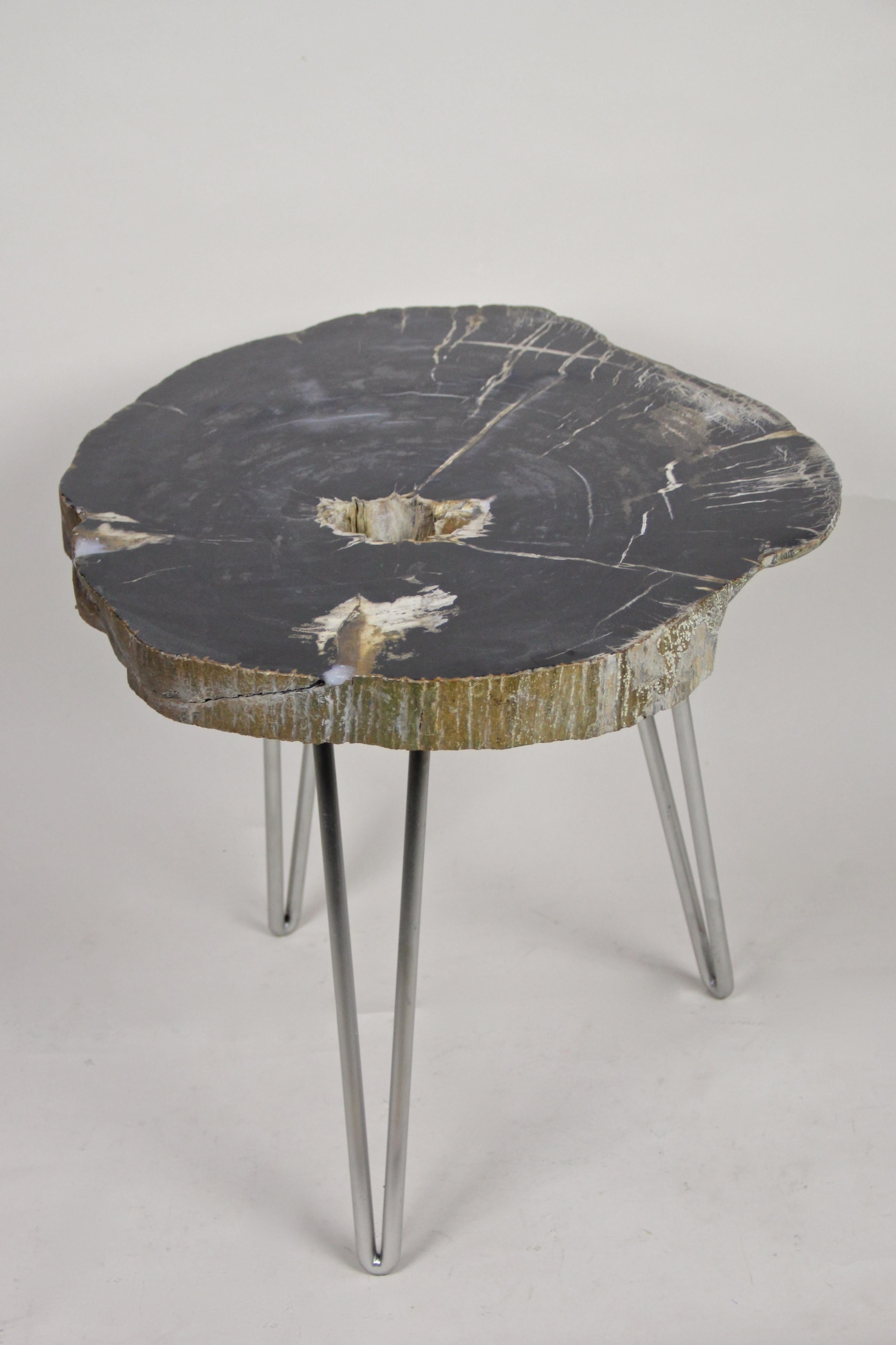 Polished Petrified Wood Coffee Table on Stainless Steel Feet, Organic Modern For Sale