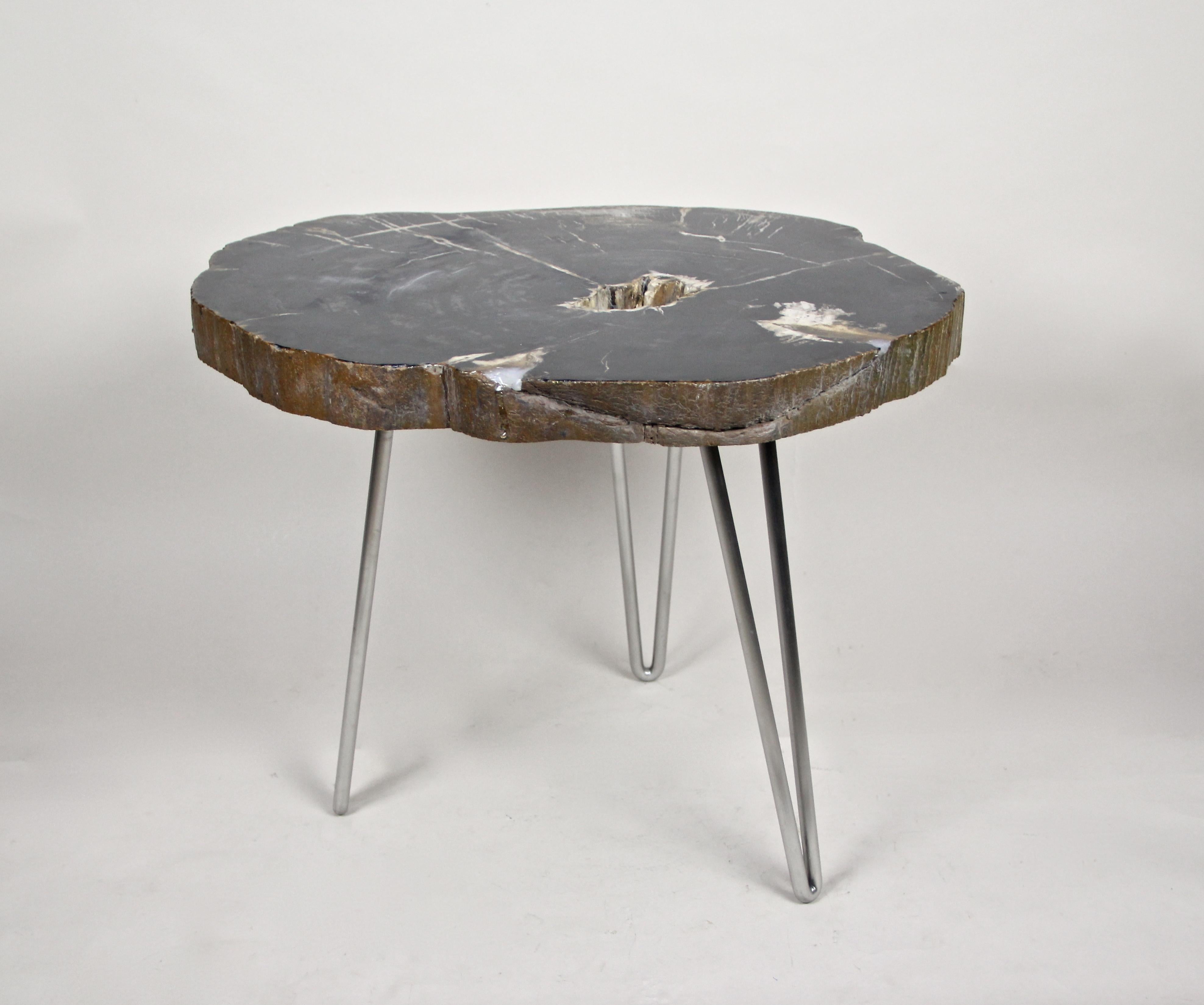 XXIe siècle et contemporain Table basse en bois pétrifié sur pieds en acier inoxydable, moderne et organique en vente