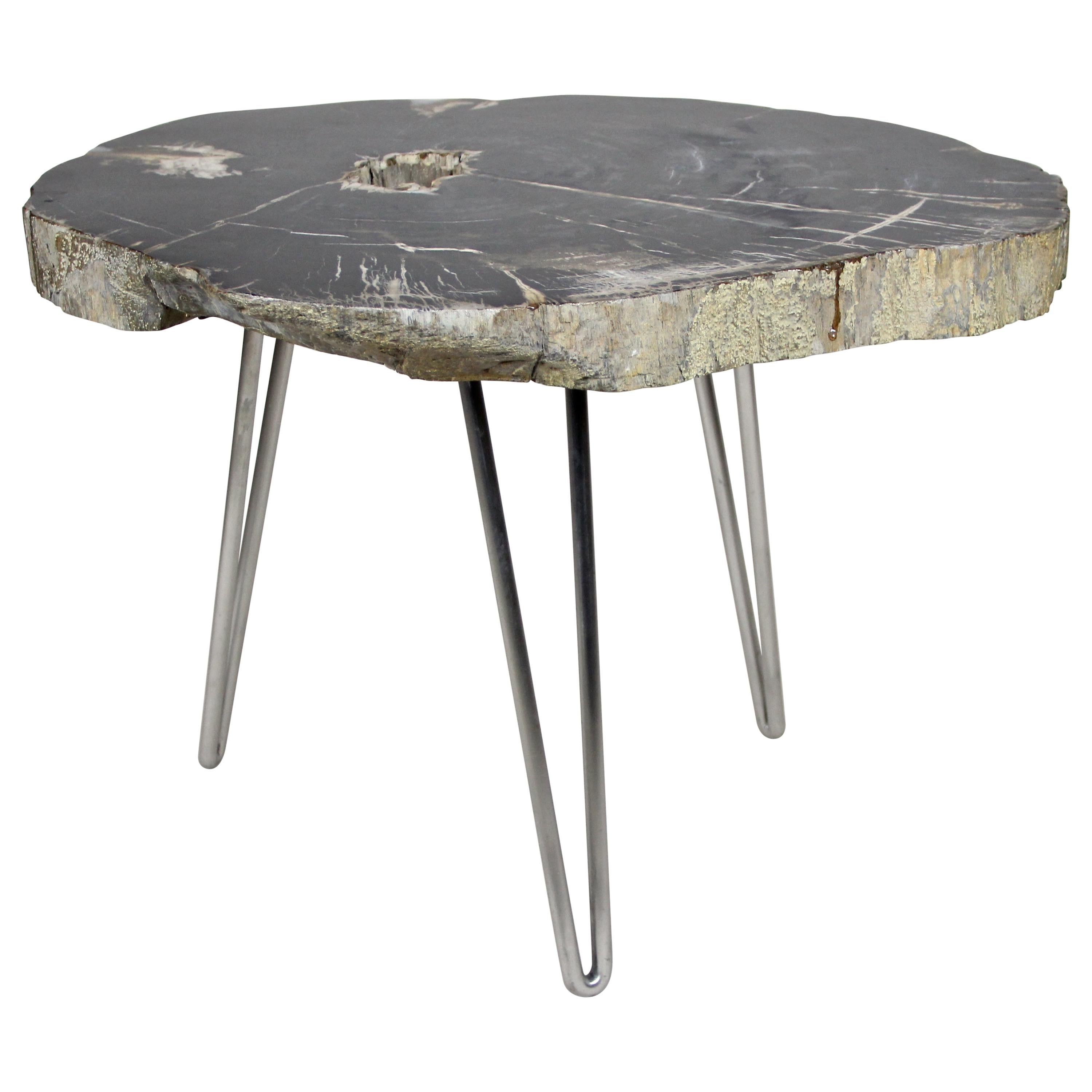 Petrified Wood Coffee Table on Stainless Steel Feet, Organic Modern