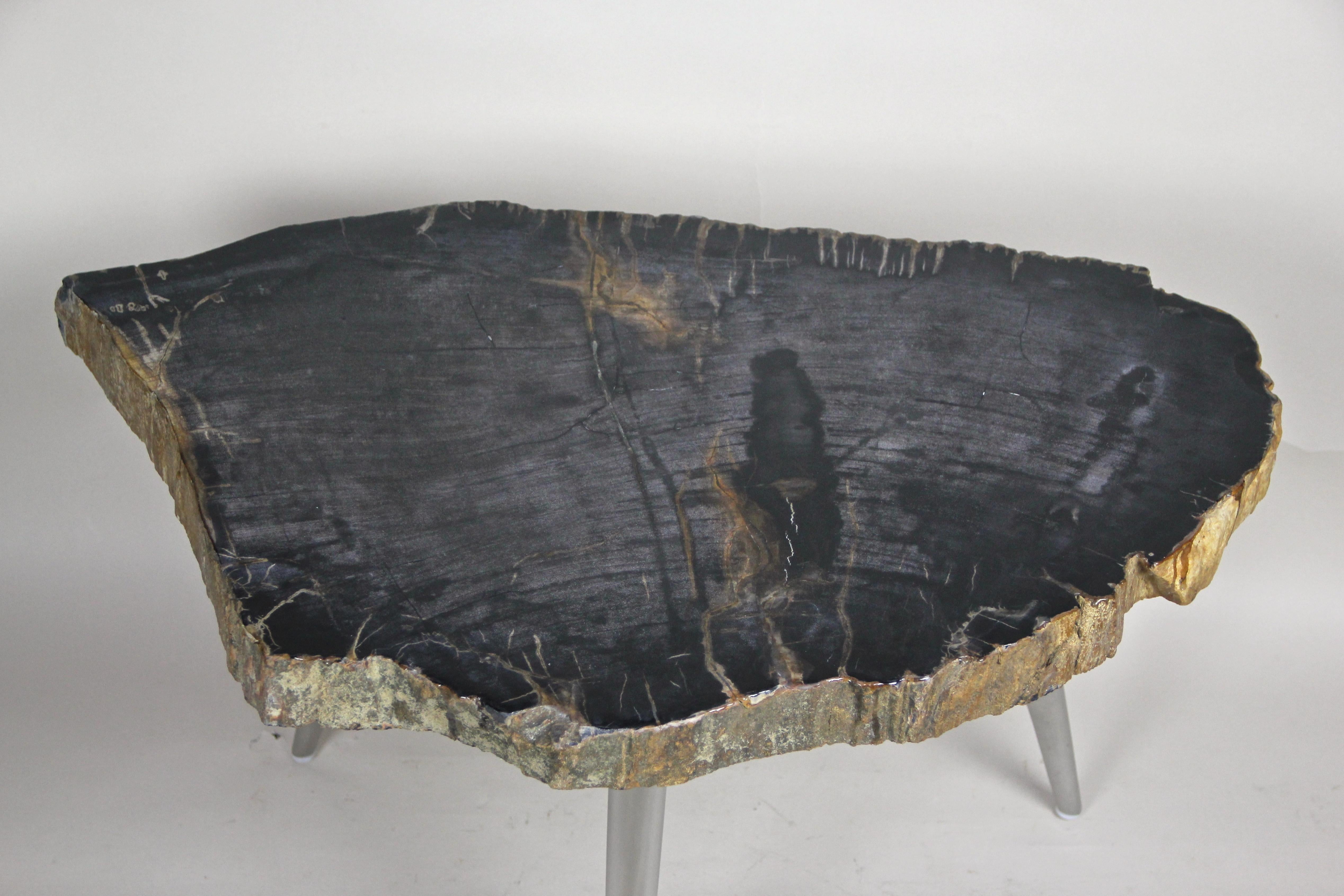 Petrified Wood Coffee Table or Side Table with Stainless Steel Feet For Sale 2