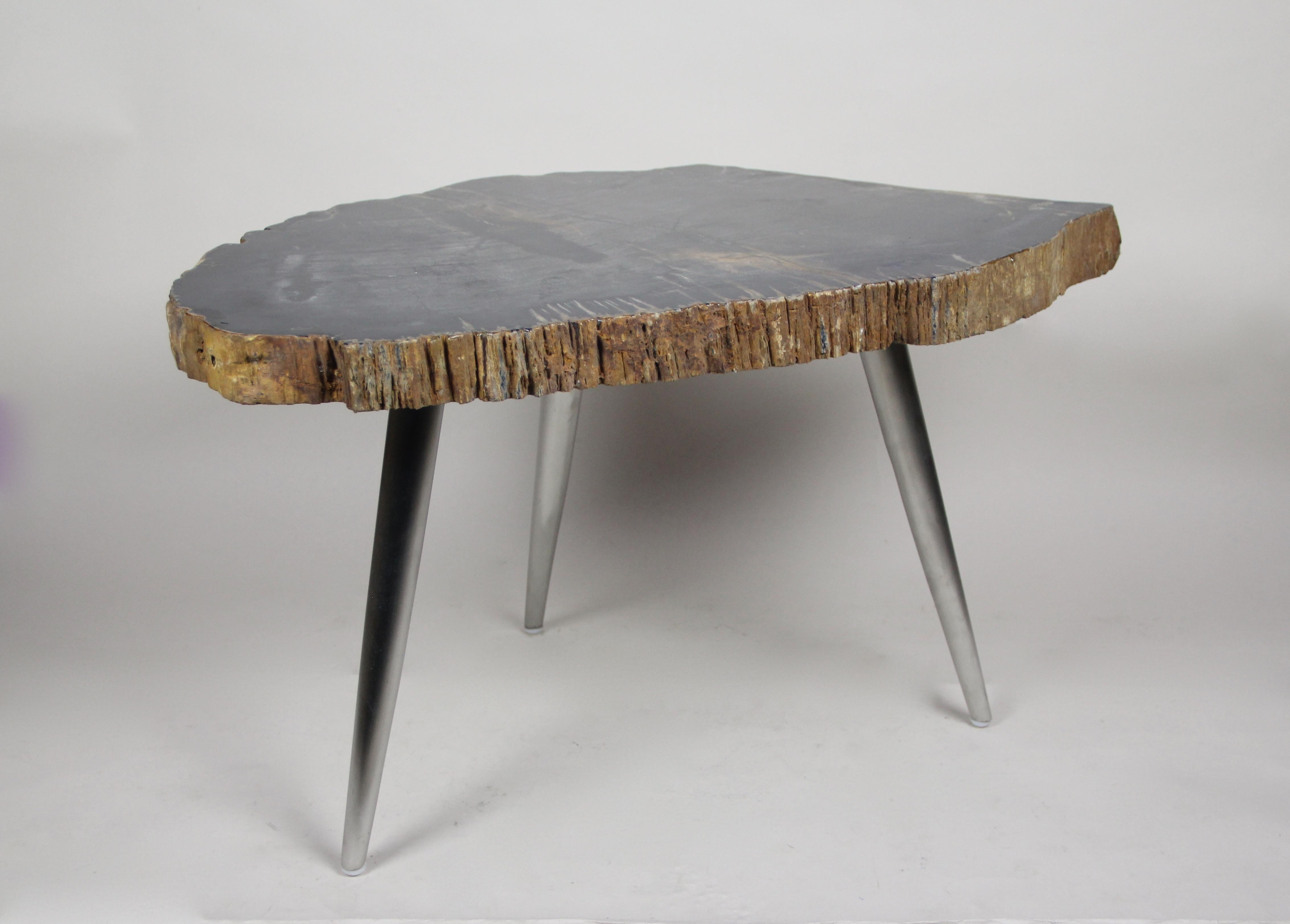 Petrified Wood Coffee Table or Side Table with Stainless Steel Feet For Sale 3