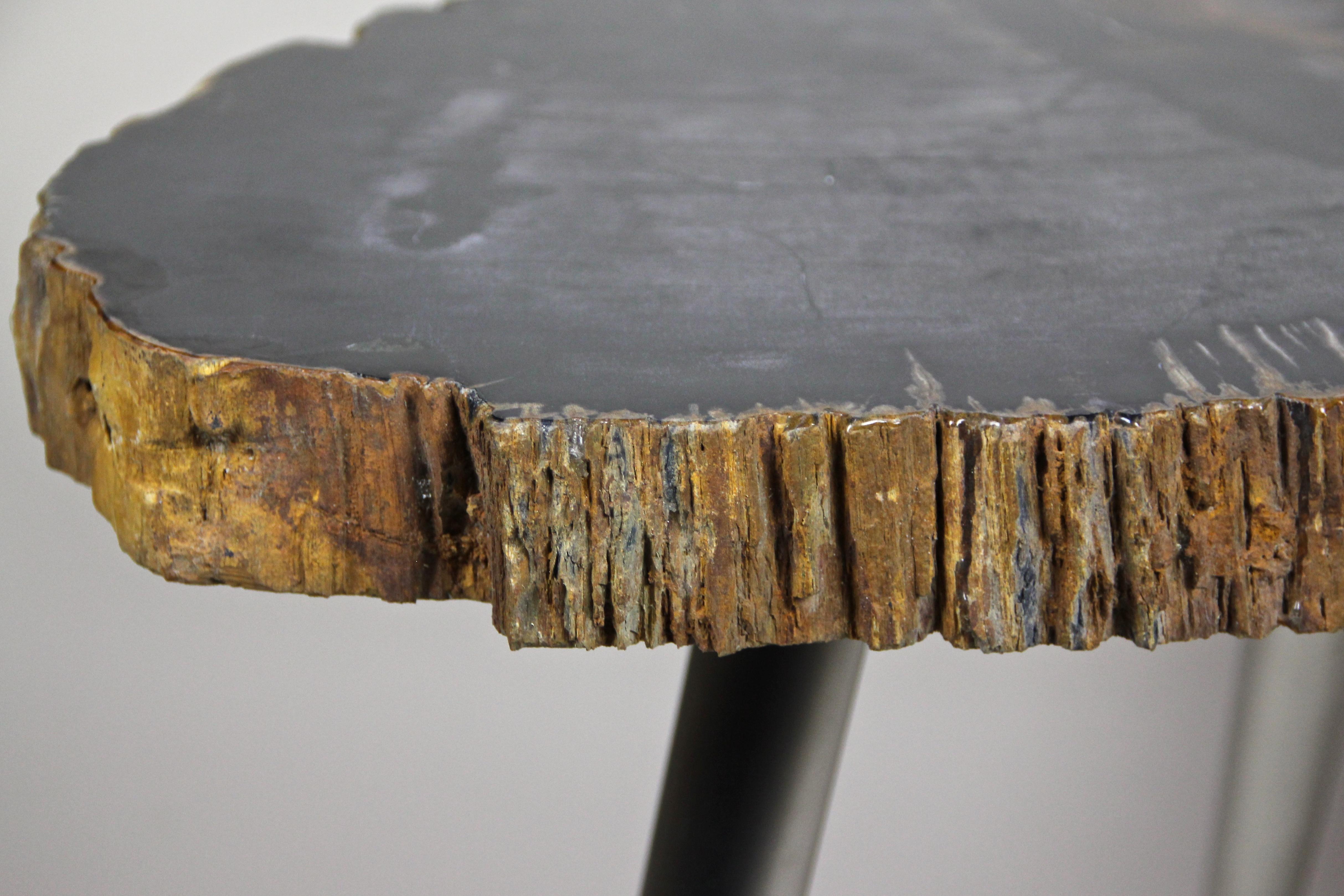 Contemporary petrified wood coffee table on stainless steel feet. A small, organic modern side table/ coffee table which plate consists of precious petrified wood, showing a black surface adorned by white and light brown veins running through it.