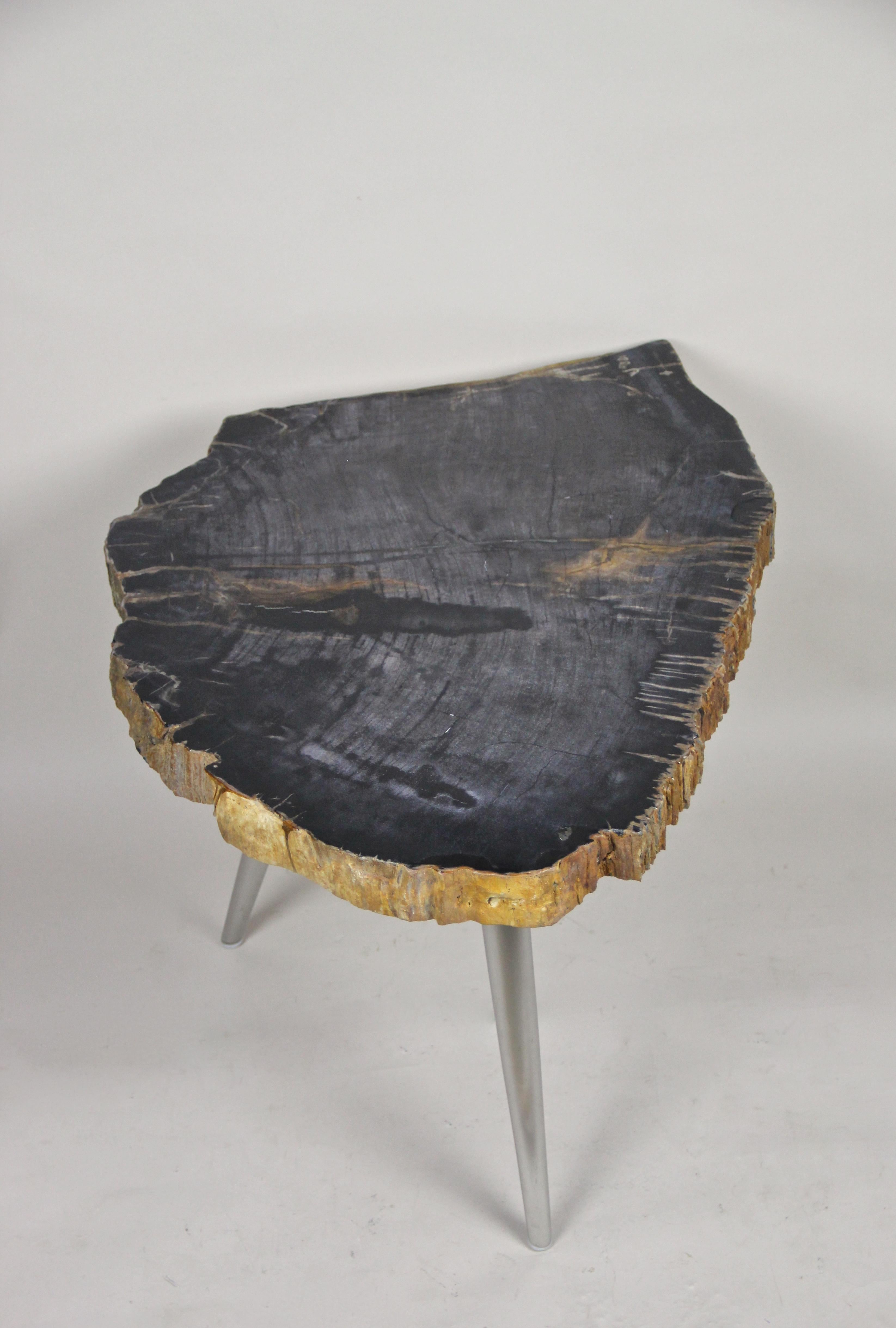 Contemporary Petrified Wood Coffee Table or Side Table with Stainless Steel Feet For Sale