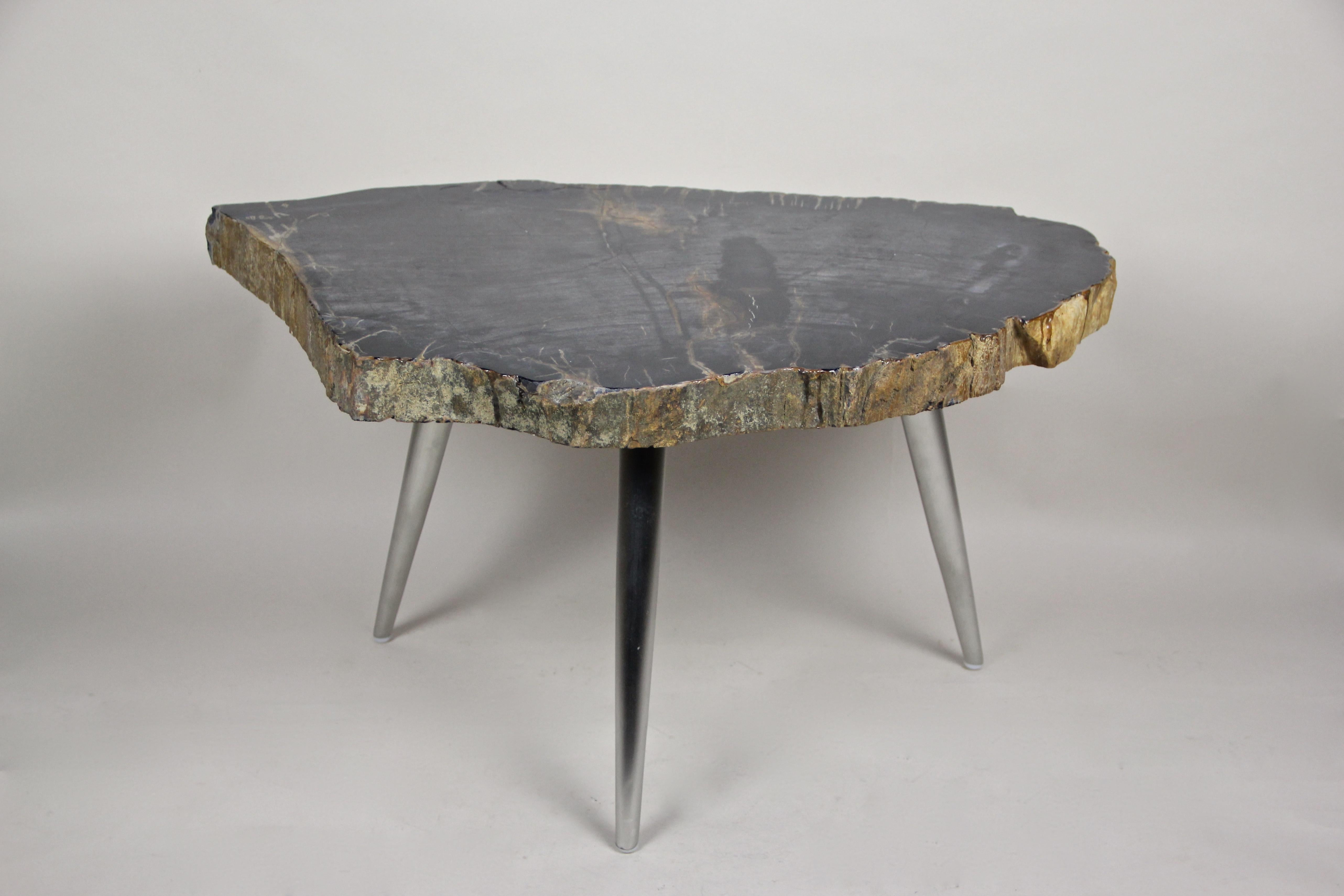 Metal Petrified Wood Coffee Table or Side Table with Stainless Steel Feet For Sale