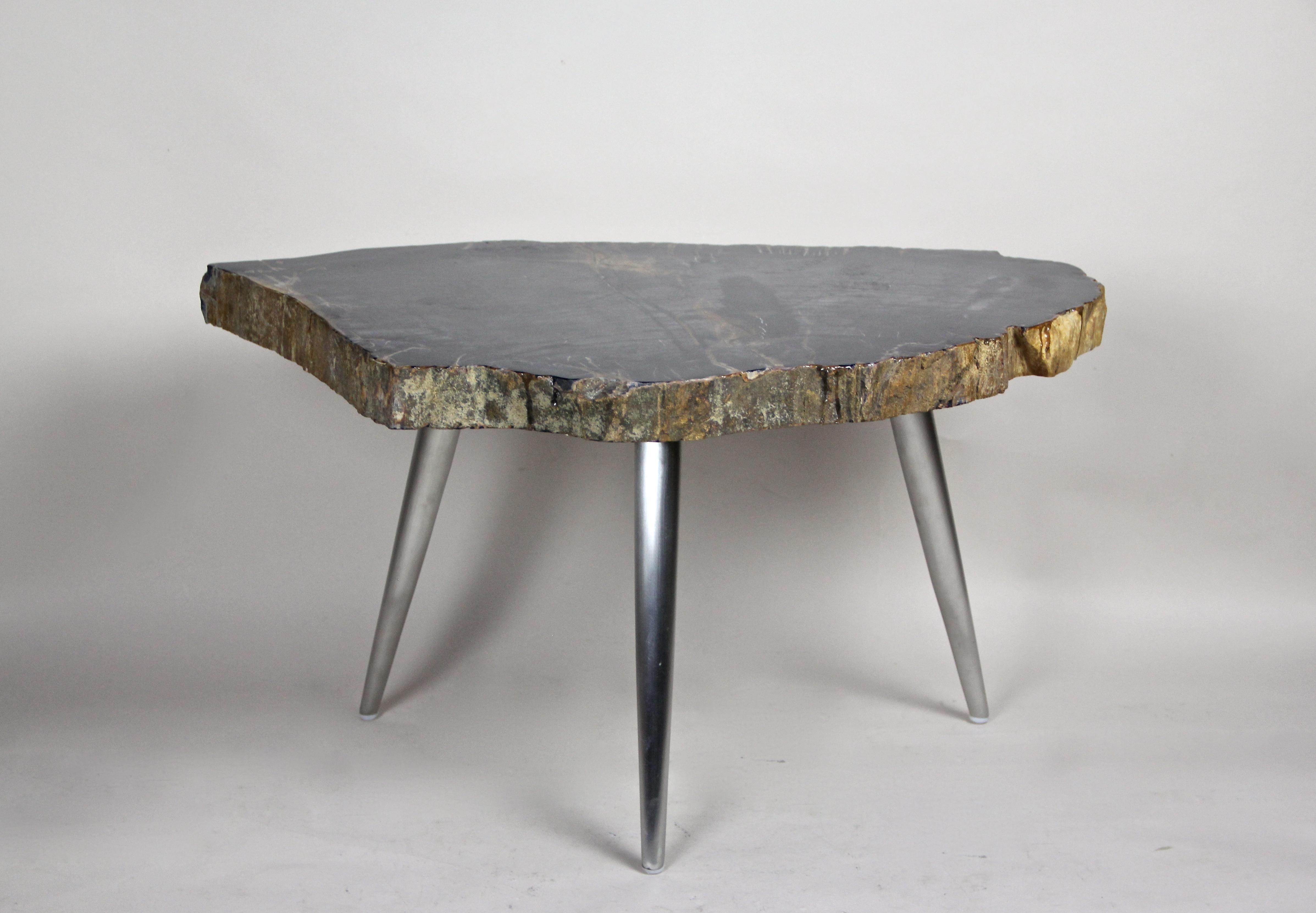 Petrified Wood Coffee Table or Side Table with Stainless Steel Feet For Sale 1