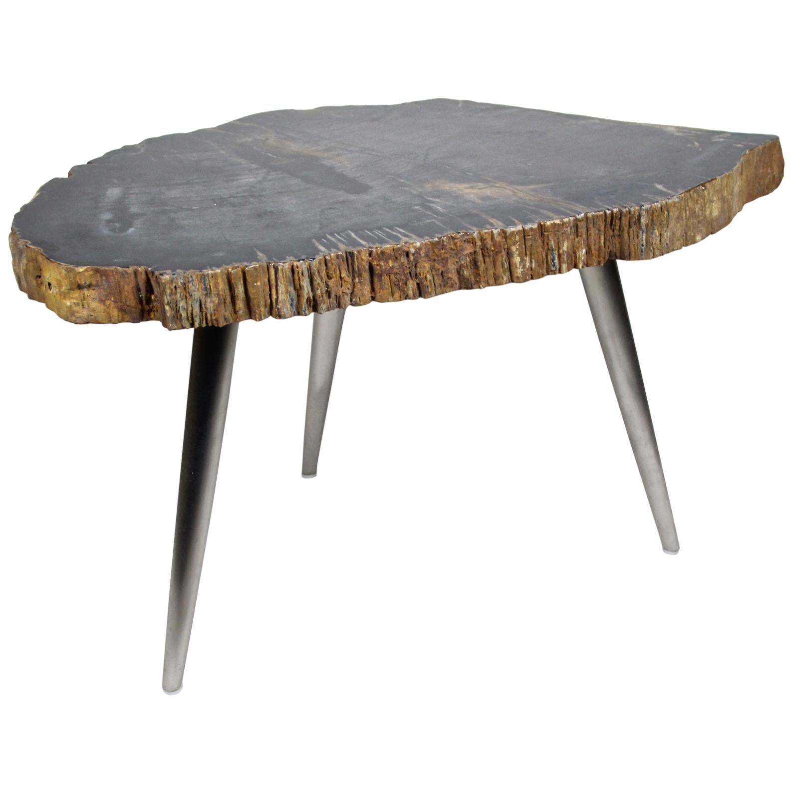 Petrified Wood Coffee Table or Side Table with Stainless Steel Feet For Sale