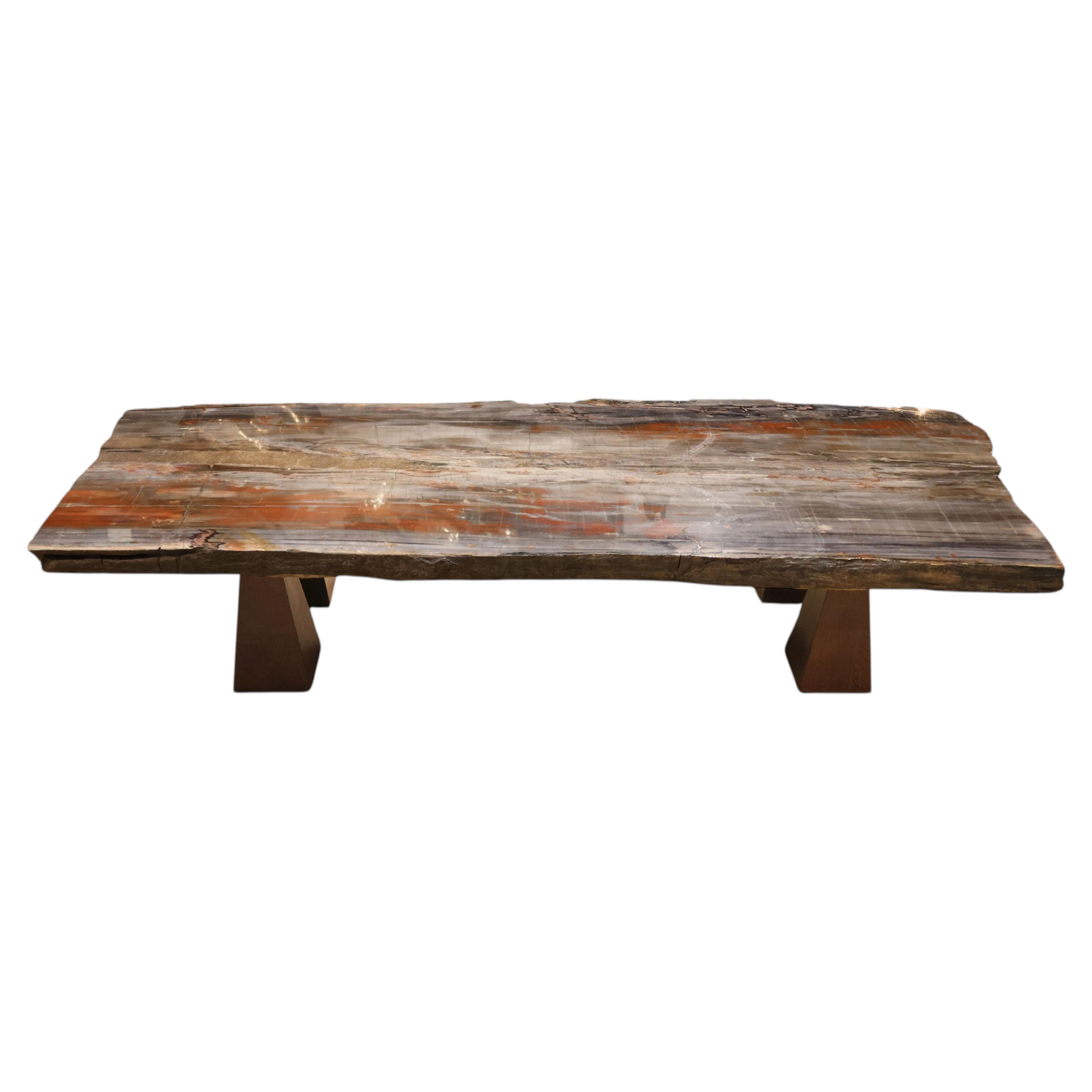 Petrified Wood Coffee Table, Stefano Piccini, Made in Italy