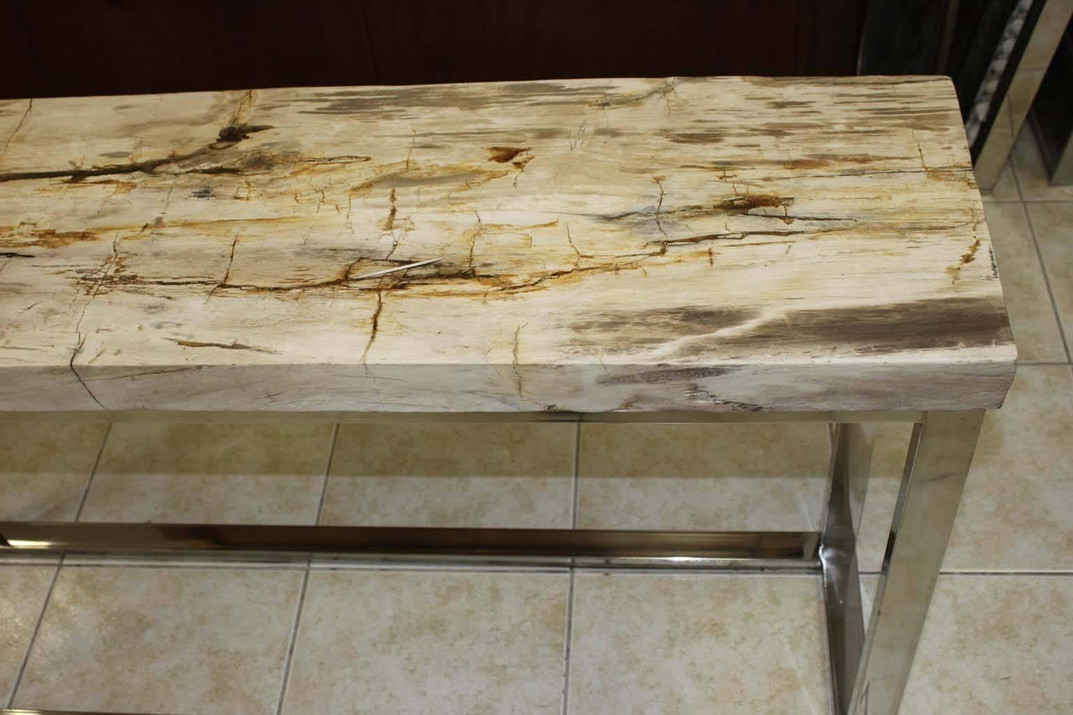 Polished Petrified Wood Console Stainless Steel Base