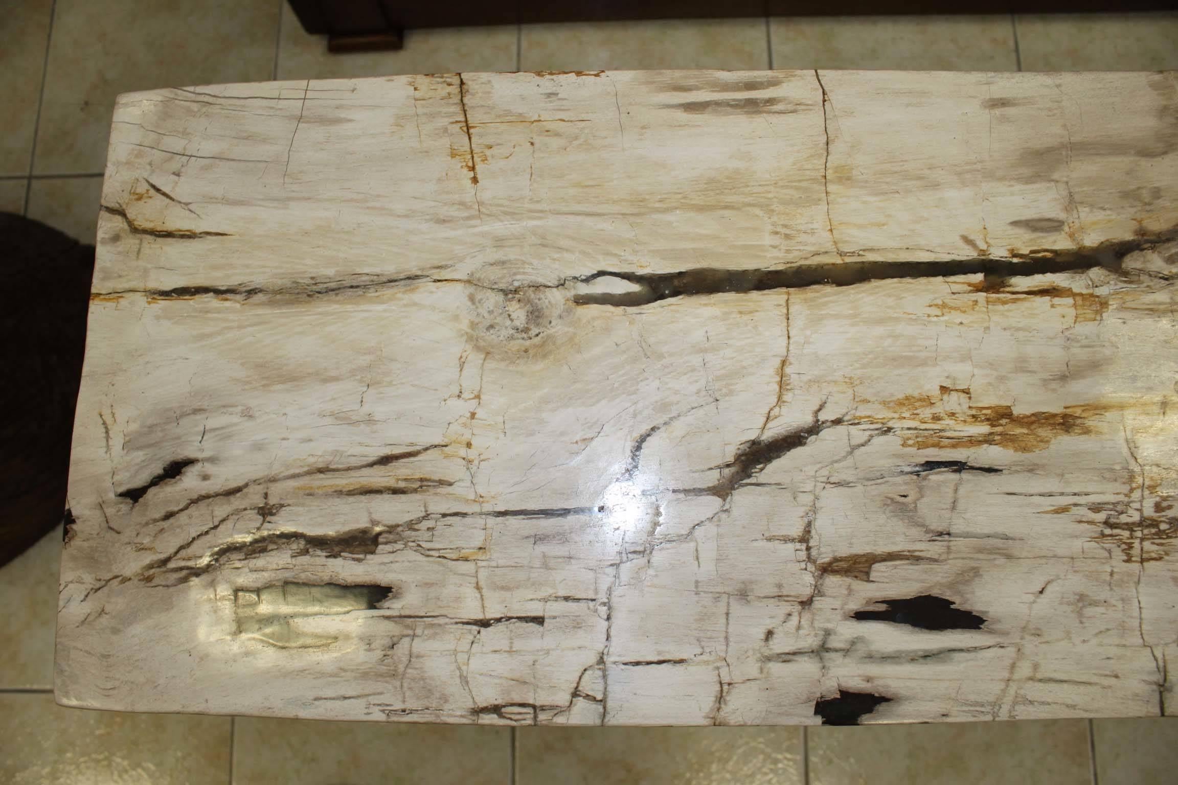 20th Century Petrified Wood Console Stainless Steel Base