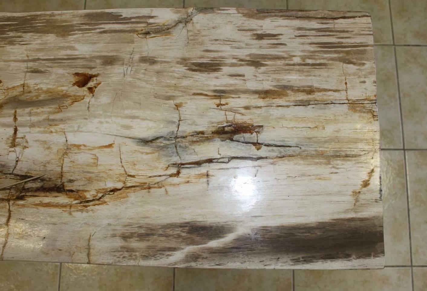 Petrified Wood Console Stainless Steel Base 1