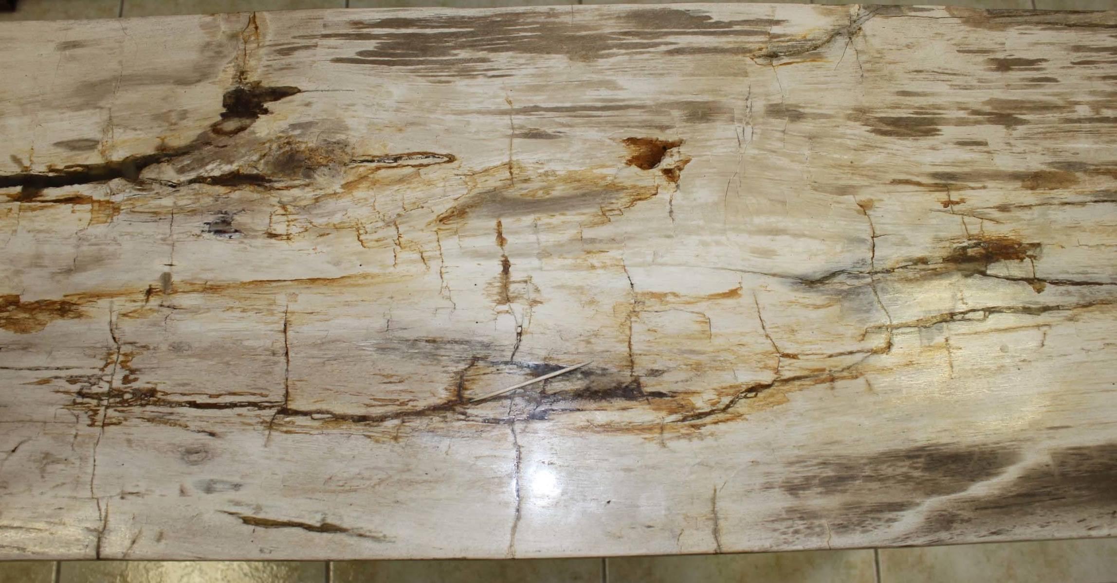 Petrified Wood Console Stainless Steel Base 2