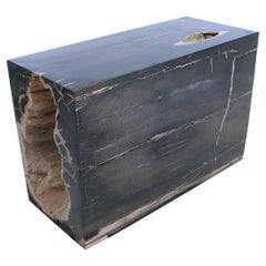 Petrified Wood Console Table