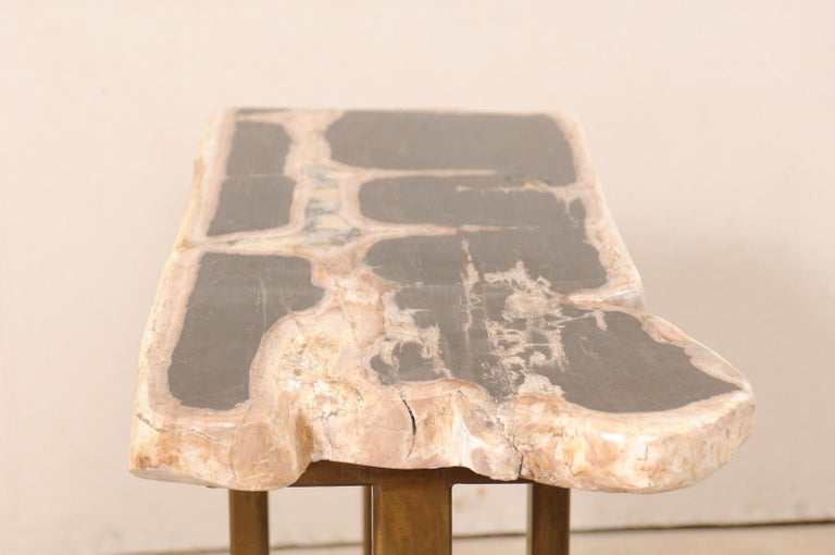 Petrified Wood Console Table with Modern Metal Base For Sale 4