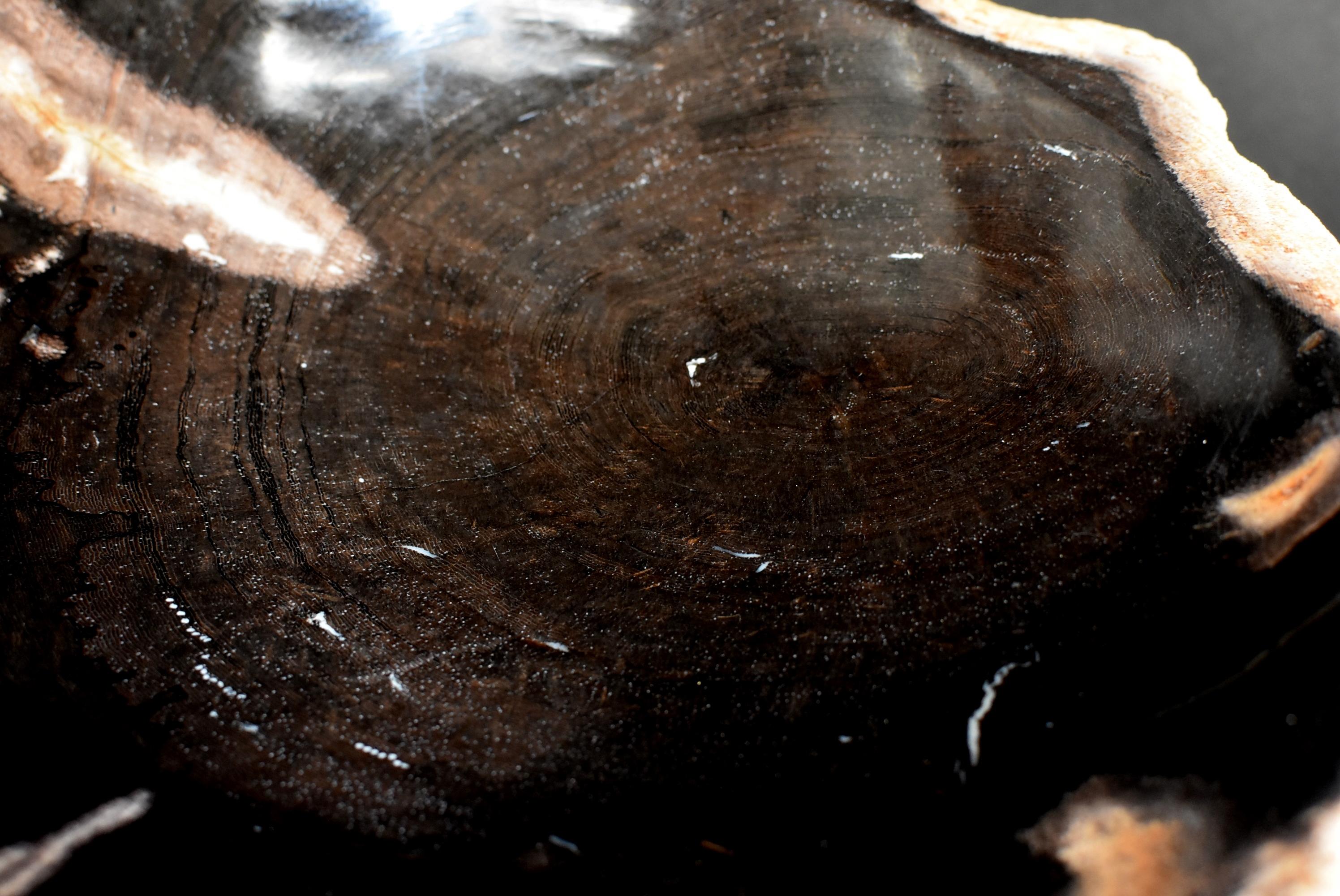 Petrified Wood Dish For Sale 3