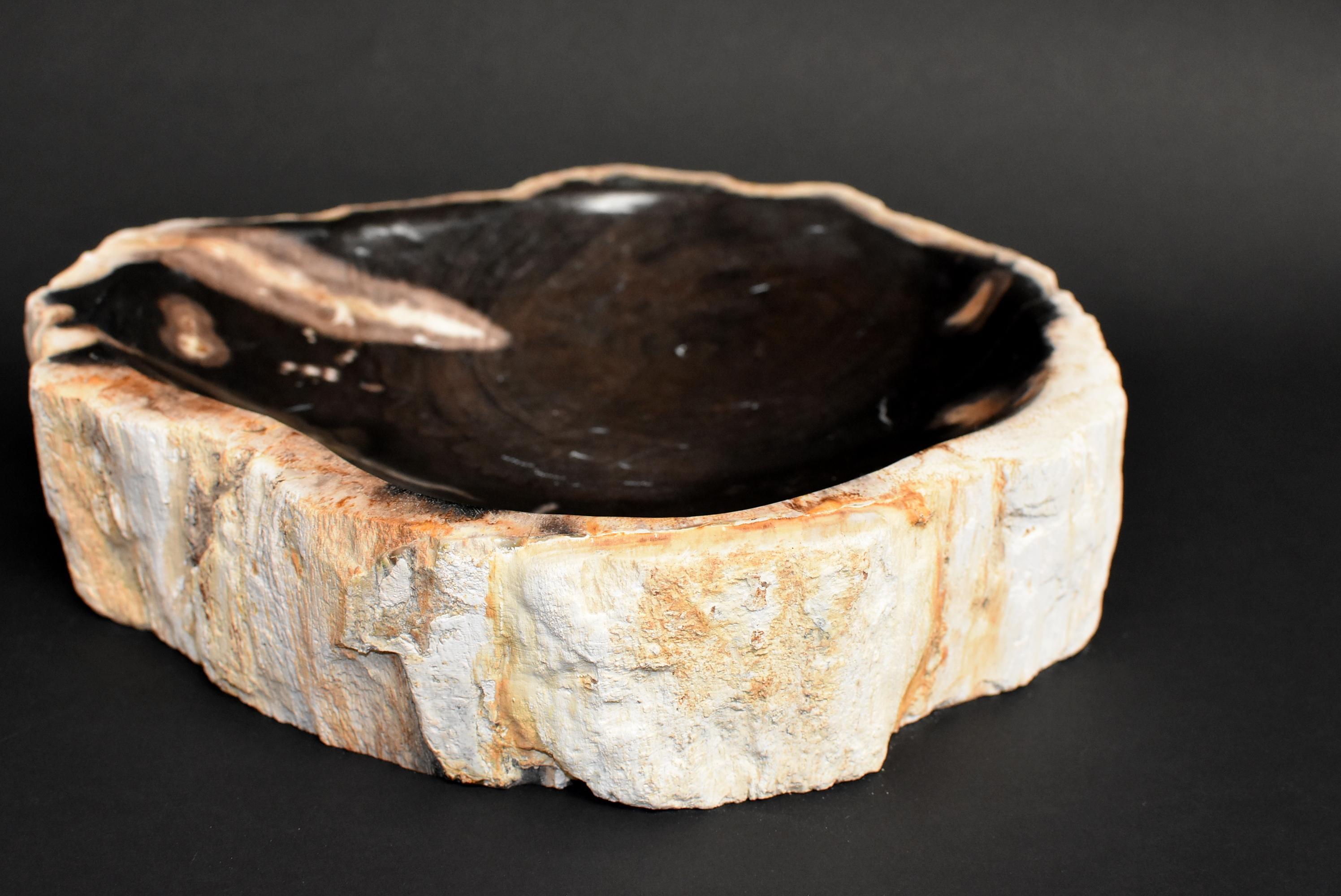 Indonesian Petrified Wood Dish For Sale